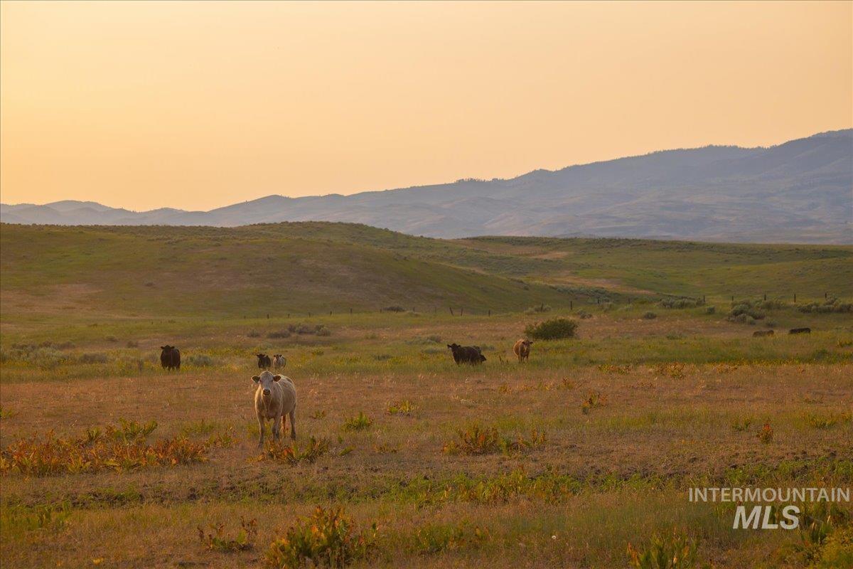 3127 US Hwy 95, Cambridge, Idaho 83610, 3 Bedrooms, 2 Bathrooms, Farm & Ranch For Sale, Price $7,450,000, 98954776