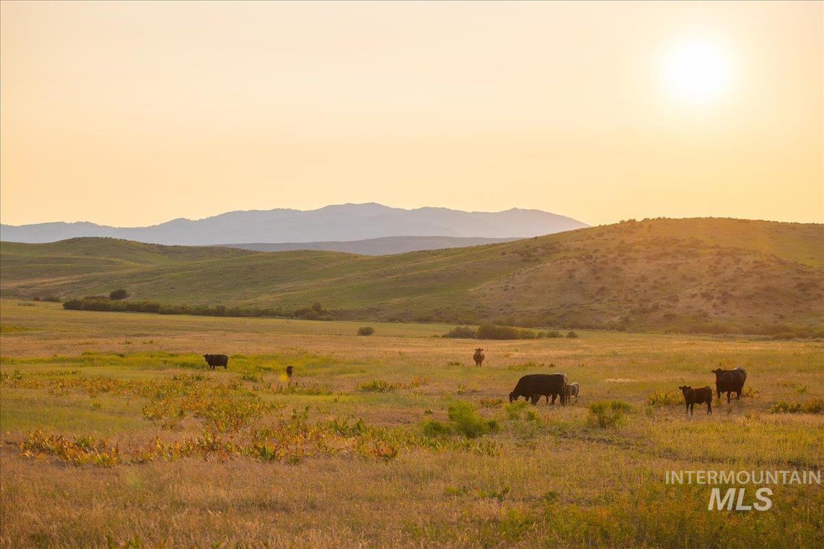 3127 US Hwy 95, Cambridge, Idaho 83610, 3 Bedrooms, 2 Bathrooms, Farm & Ranch For Sale, Price $7,450,000, 98954776