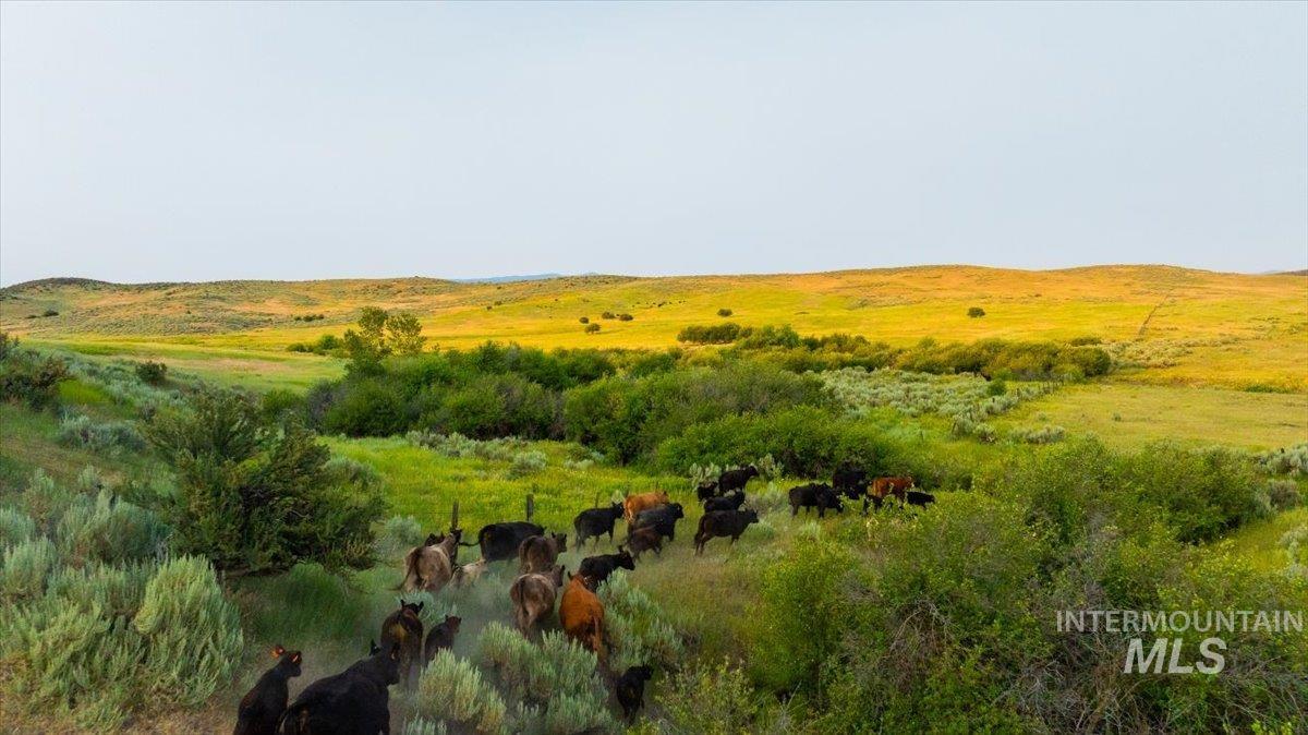 3127 US Hwy 95, Cambridge, Idaho 83610, 3 Bedrooms, 2 Bathrooms, Farm & Ranch For Sale, Price $7,450,000, 98954776