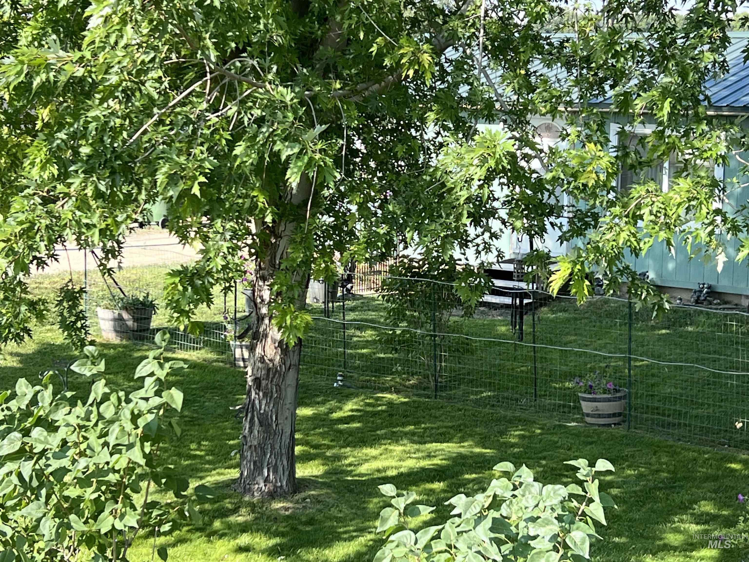 23743 Stephen Lane, Parma, Idaho 83660, 3 Bedrooms, 2 Bathrooms, Residential For Sale, Price $389,900,MLS 98955063