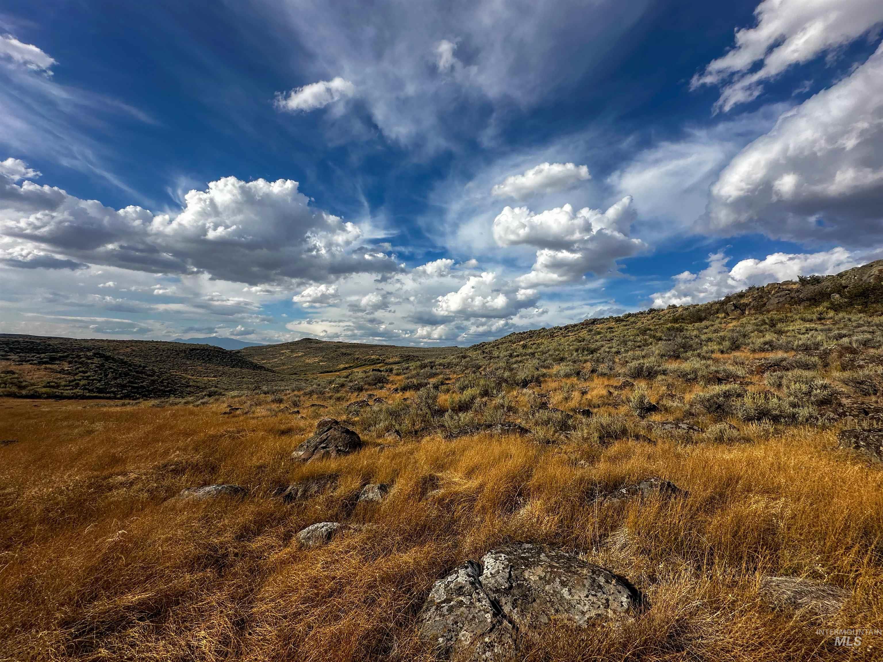 Macon Flat Rd, Fairfield, Idaho 83327, Land For Sale, Price $150,000,MLS 98955179