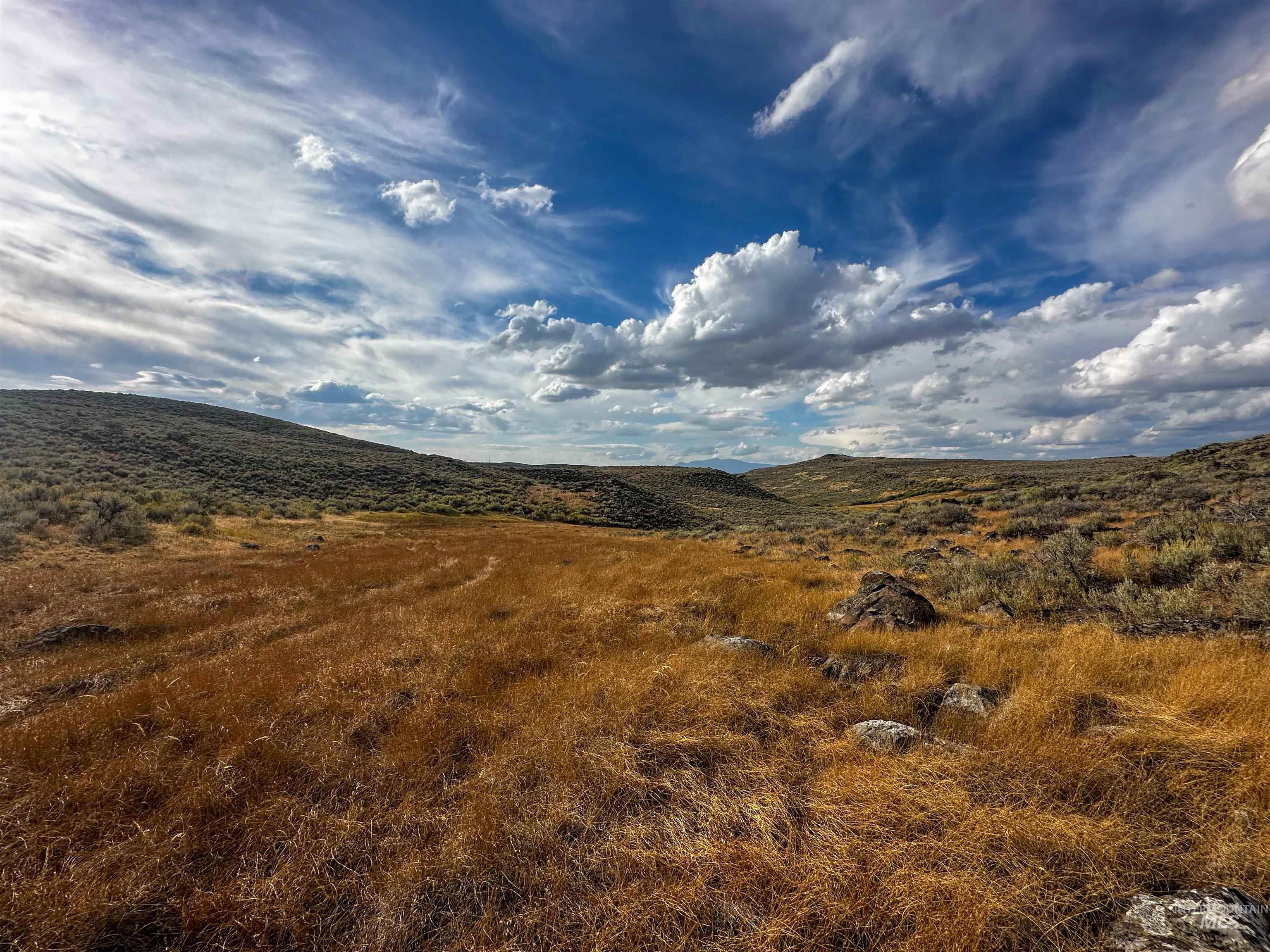 Macon Flat Rd, Fairfield, Idaho 83327, Land For Sale, Price $150,000,MLS 98955179