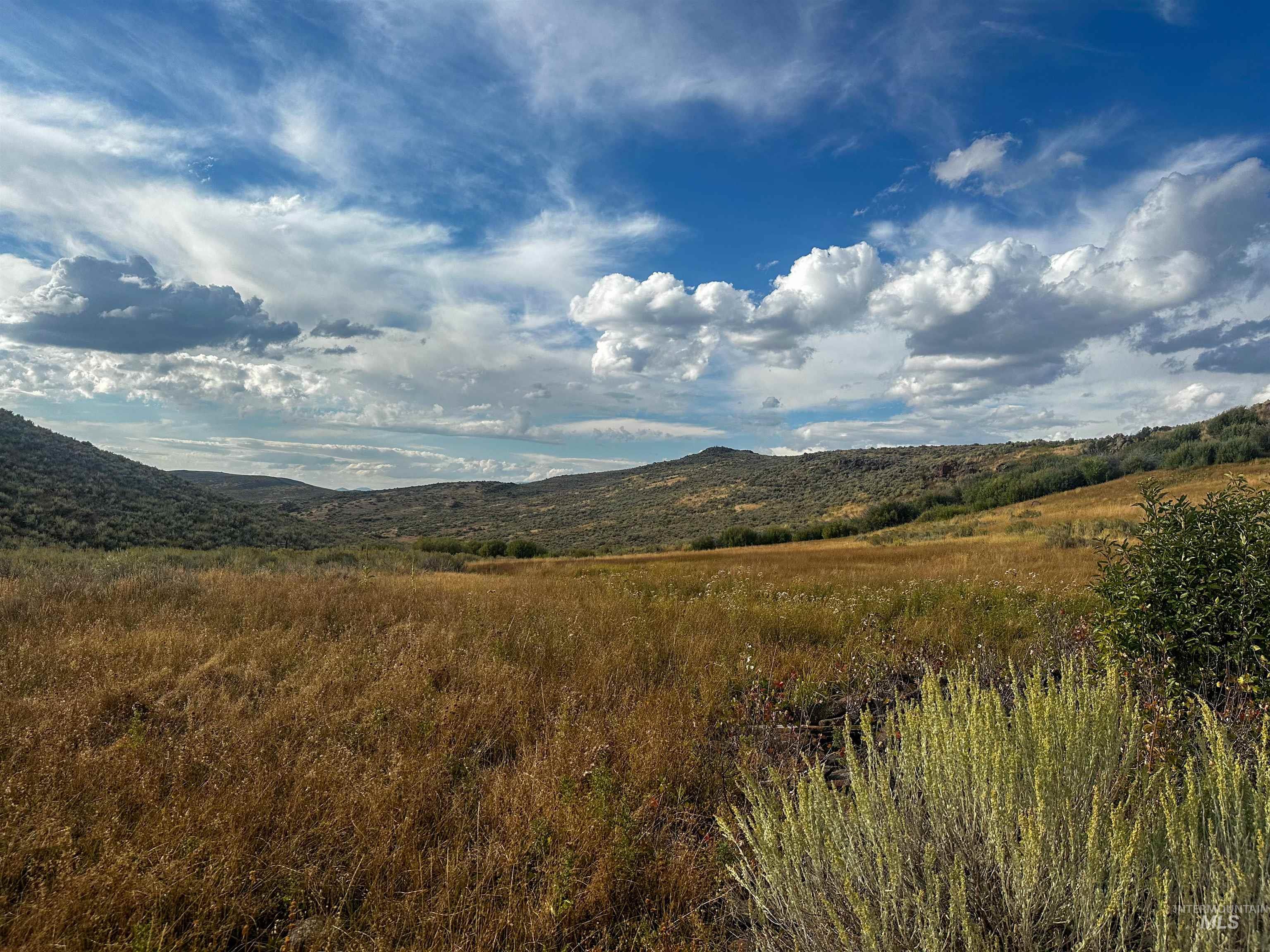 Macon Flat Rd, Fairfield, Idaho 83327, Land For Sale, Price $150,000,MLS 98955179