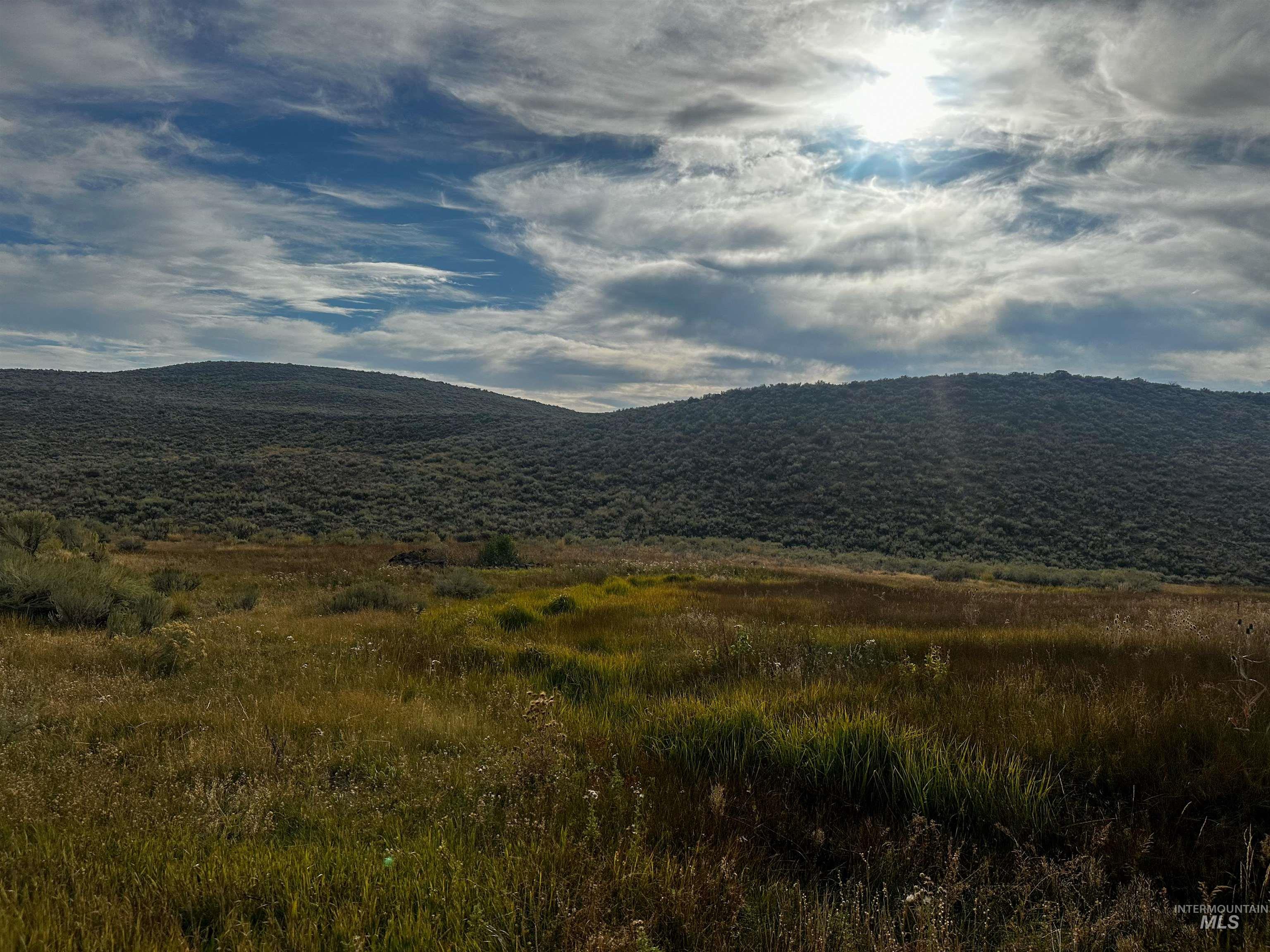 Macon Flat Rd, Fairfield, Idaho 83327, Land For Sale, Price $150,000,MLS 98955179