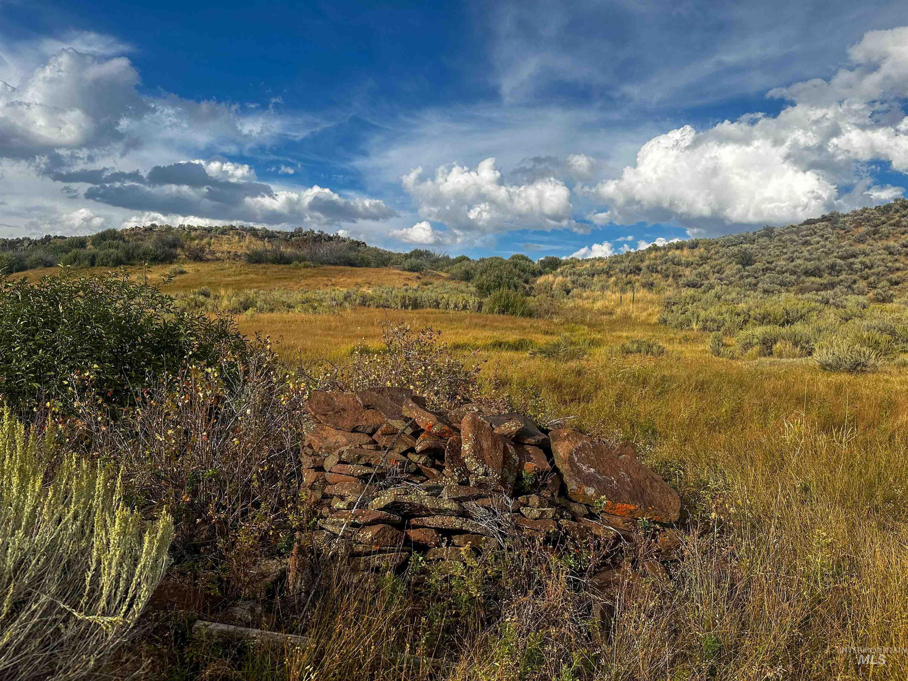 Macon Flat Rd, Fairfield, Idaho 83327, Land For Sale, Price $150,000,MLS 98955179