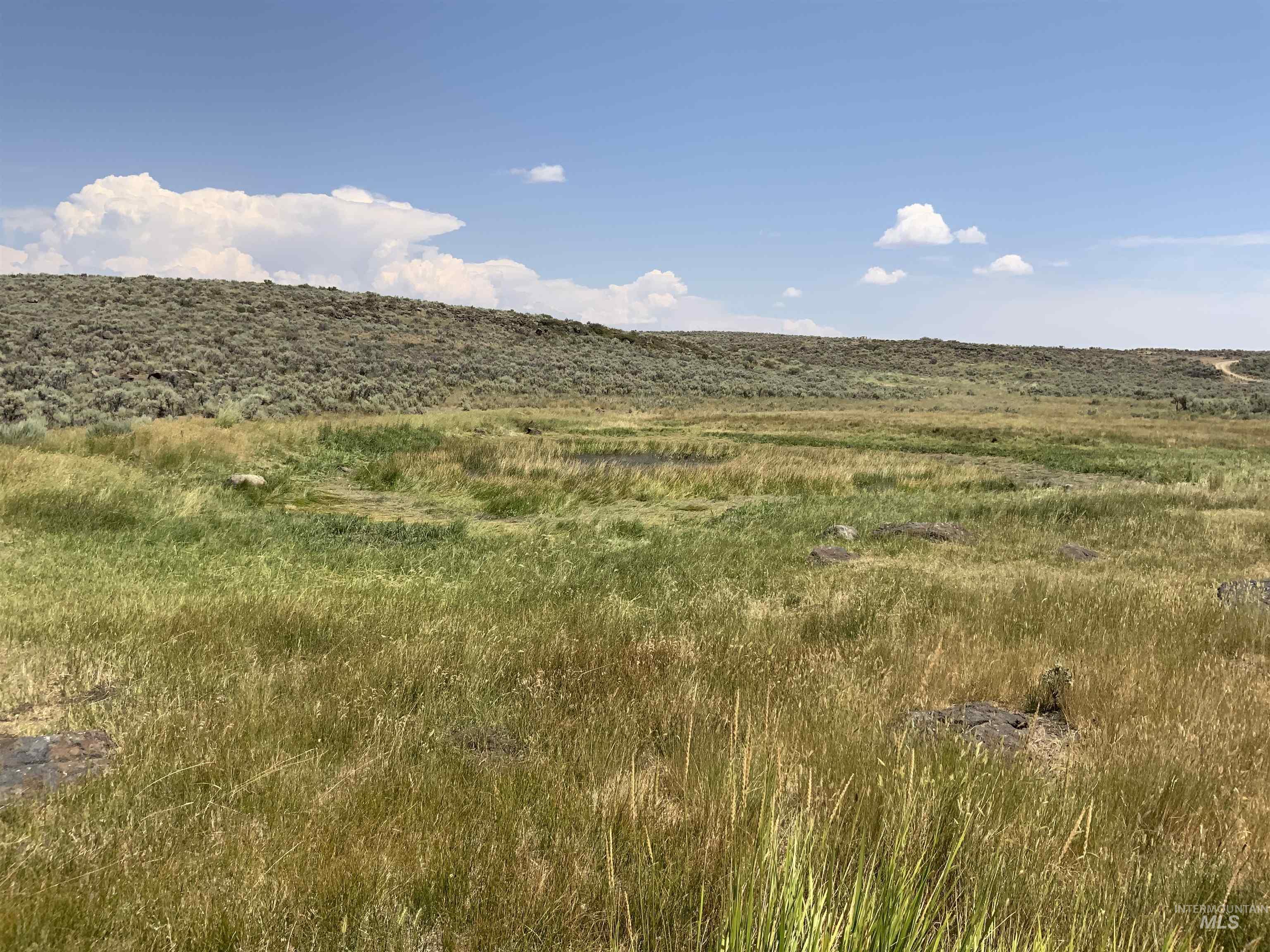 Macon Flat Rd, Fairfield, Idaho 83327, Land For Sale, Price $150,000,MLS 98955179