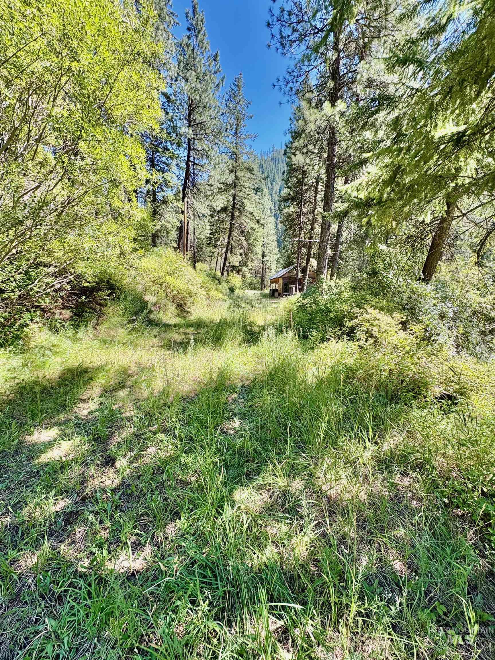 4966 Highway 95, Riggins, Idaho 83654, Land For Sale, Price $250,000, 98955192