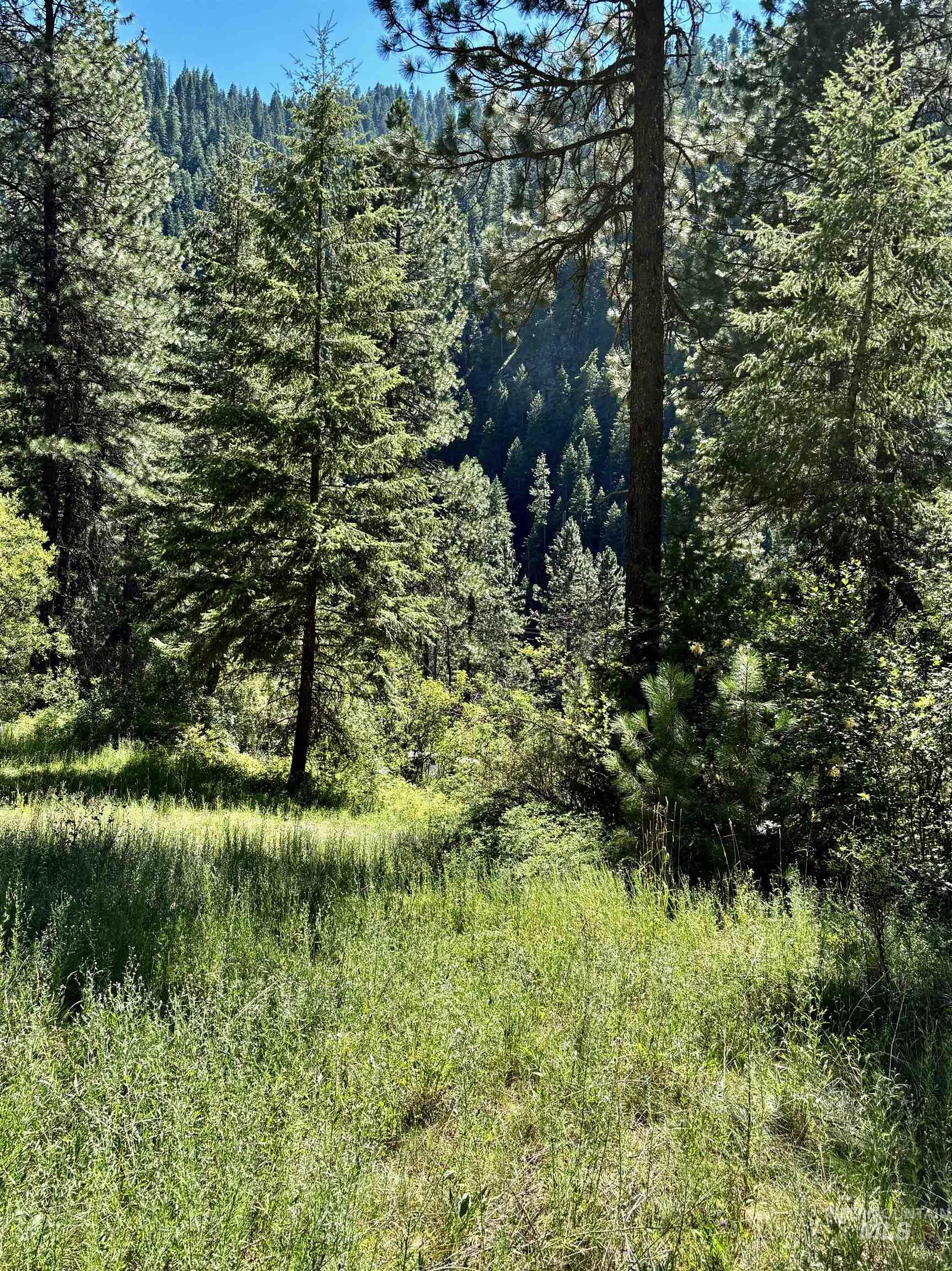 4966 Highway 95, Riggins, Idaho 83654, Land For Sale, Price $250,000, 98955192