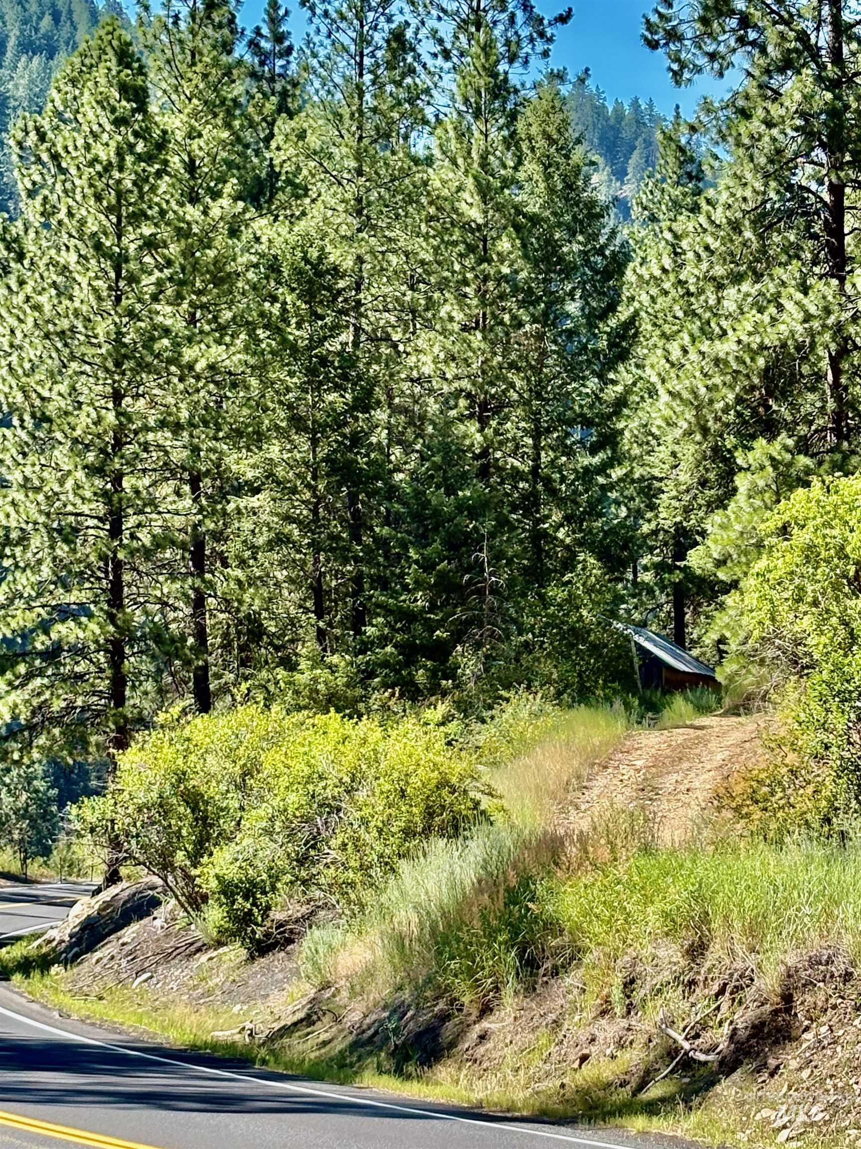 4966 Highway 95, Riggins, Idaho 83654, Land For Sale, Price $250,000, 98955192