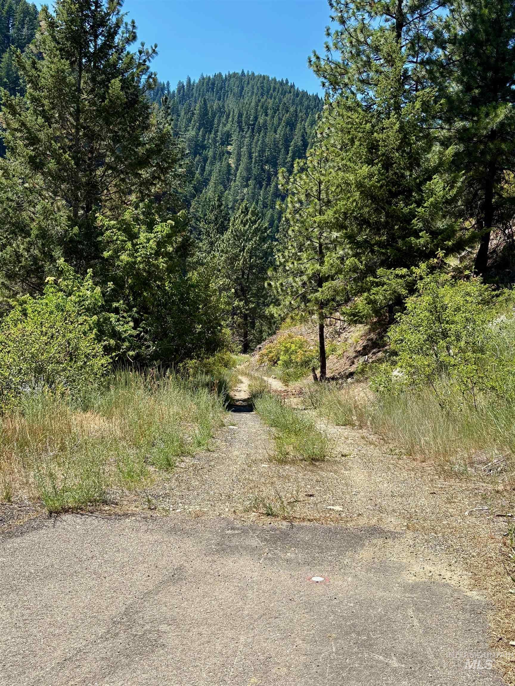 4966 Highway 95, Riggins, Idaho 83654, Land For Sale, Price $250,000, 98955192