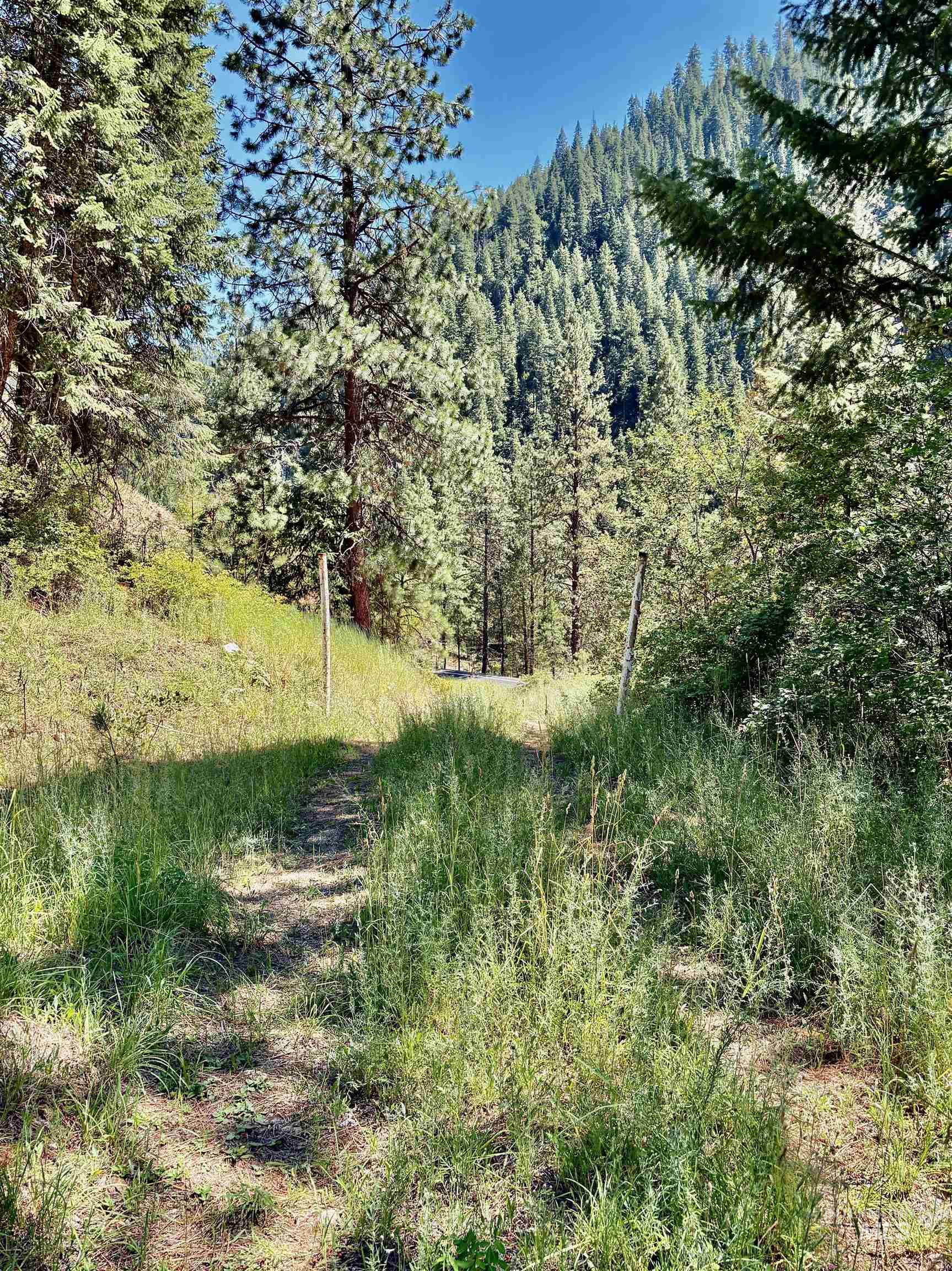 4966 Highway 95, Riggins, Idaho 83654, Land For Sale, Price $250,000, 98955192