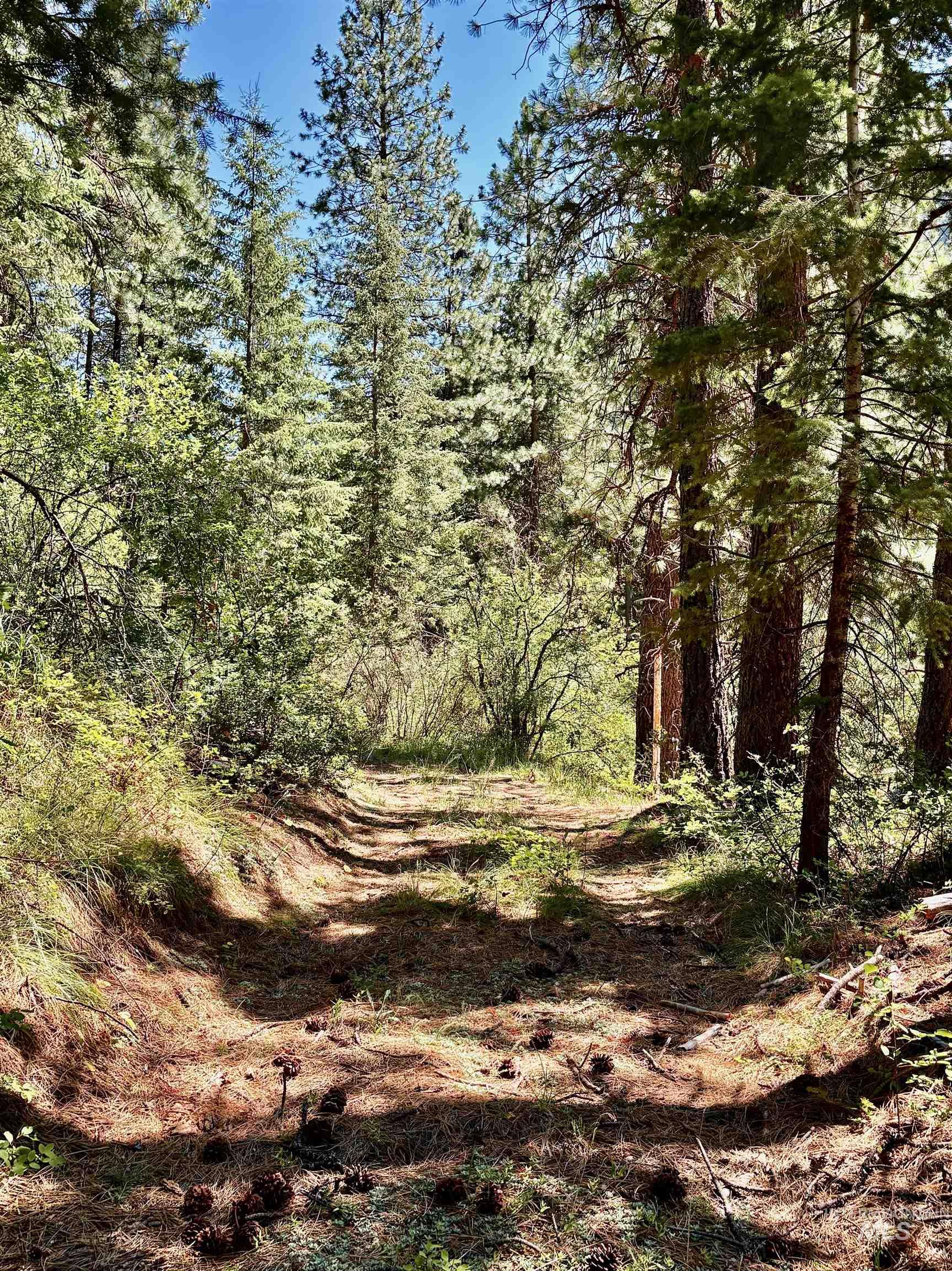 4966 Highway 95, Riggins, Idaho 83654, Land For Sale, Price $250,000, 98955192
