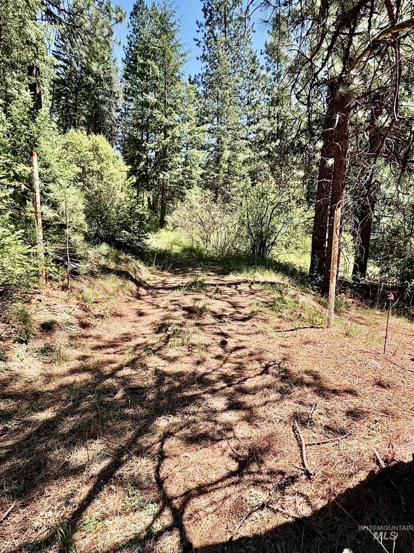 4966 Highway 95, Riggins, Idaho 83654, Land For Sale, Price $250,000, 98955192
