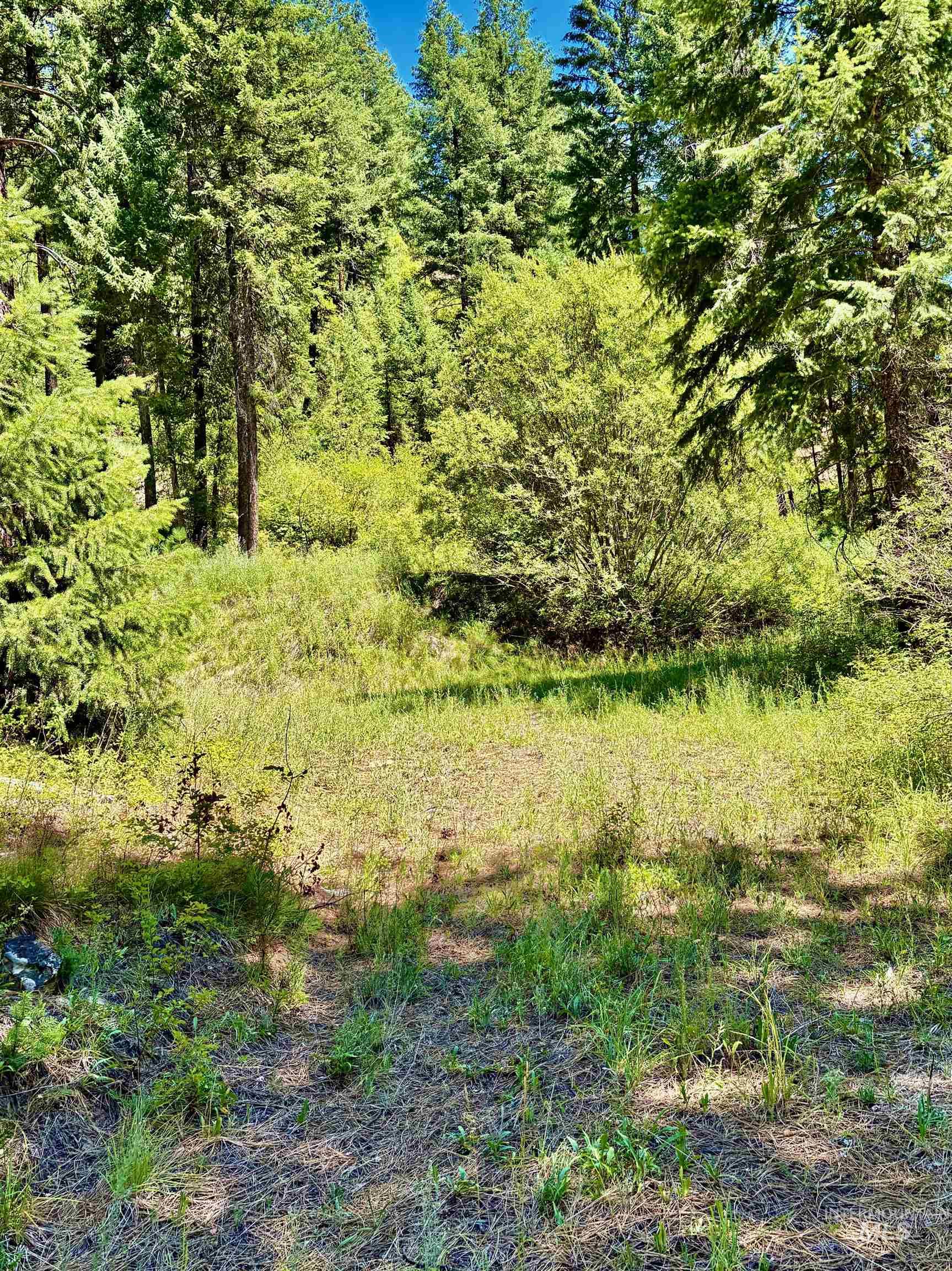 4966 Highway 95, Riggins, Idaho 83654, Land For Sale, Price $250,000, 98955192