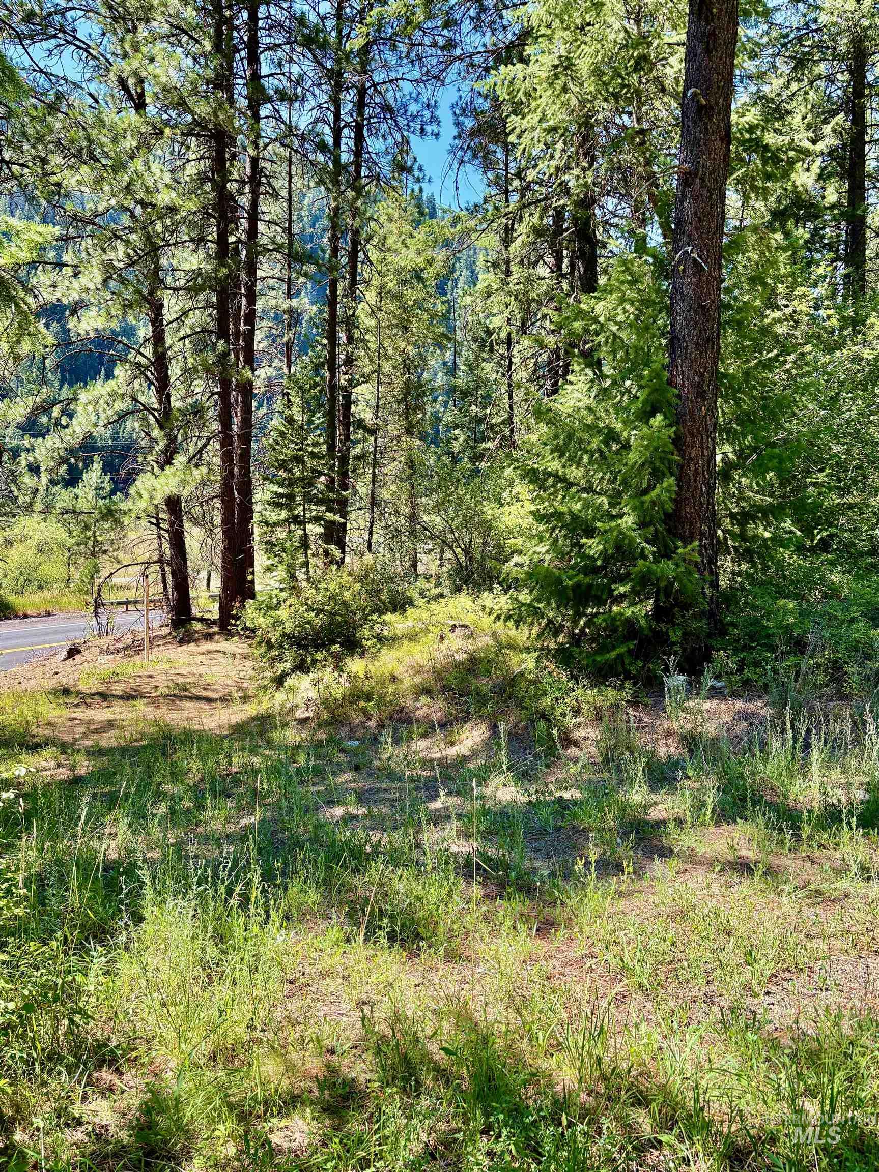 4966 Highway 95, Riggins, Idaho 83654, Land For Sale, Price $250,000, 98955192
