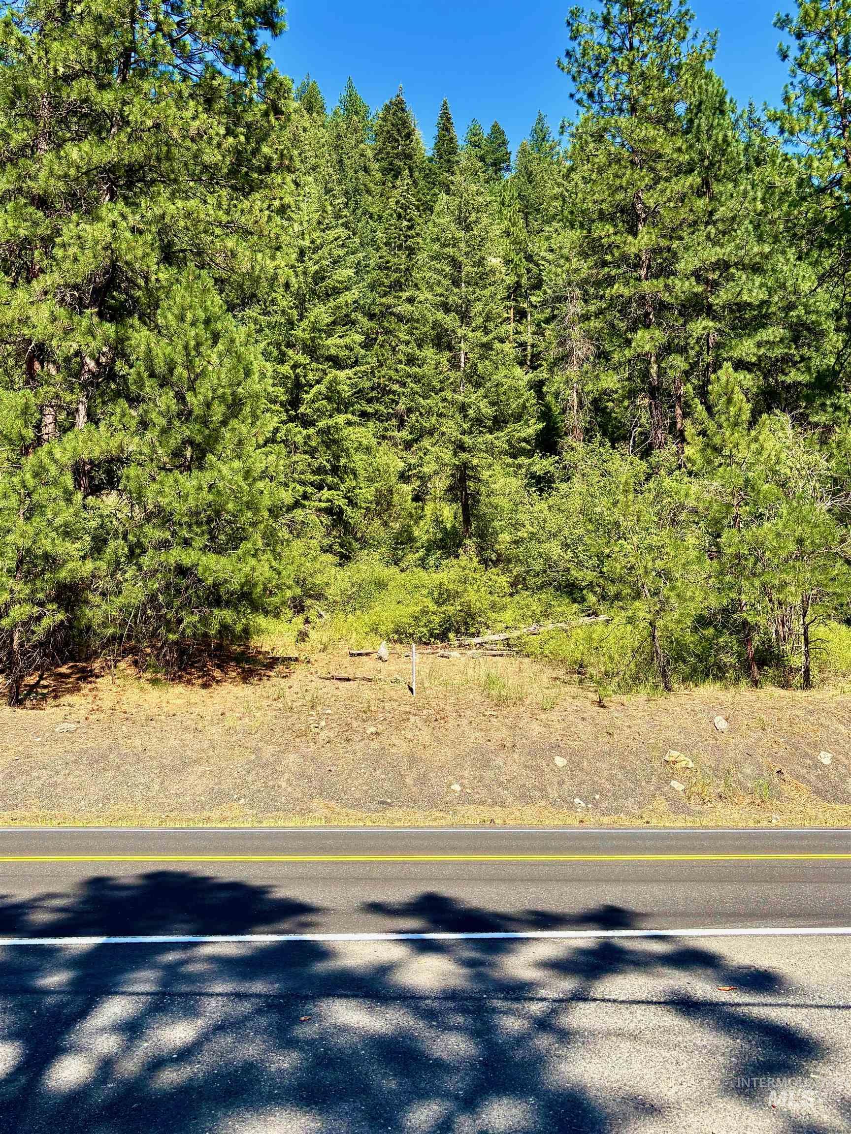 4966 Highway 95, Riggins, Idaho 83654, Land For Sale, Price $250,000, 98955192