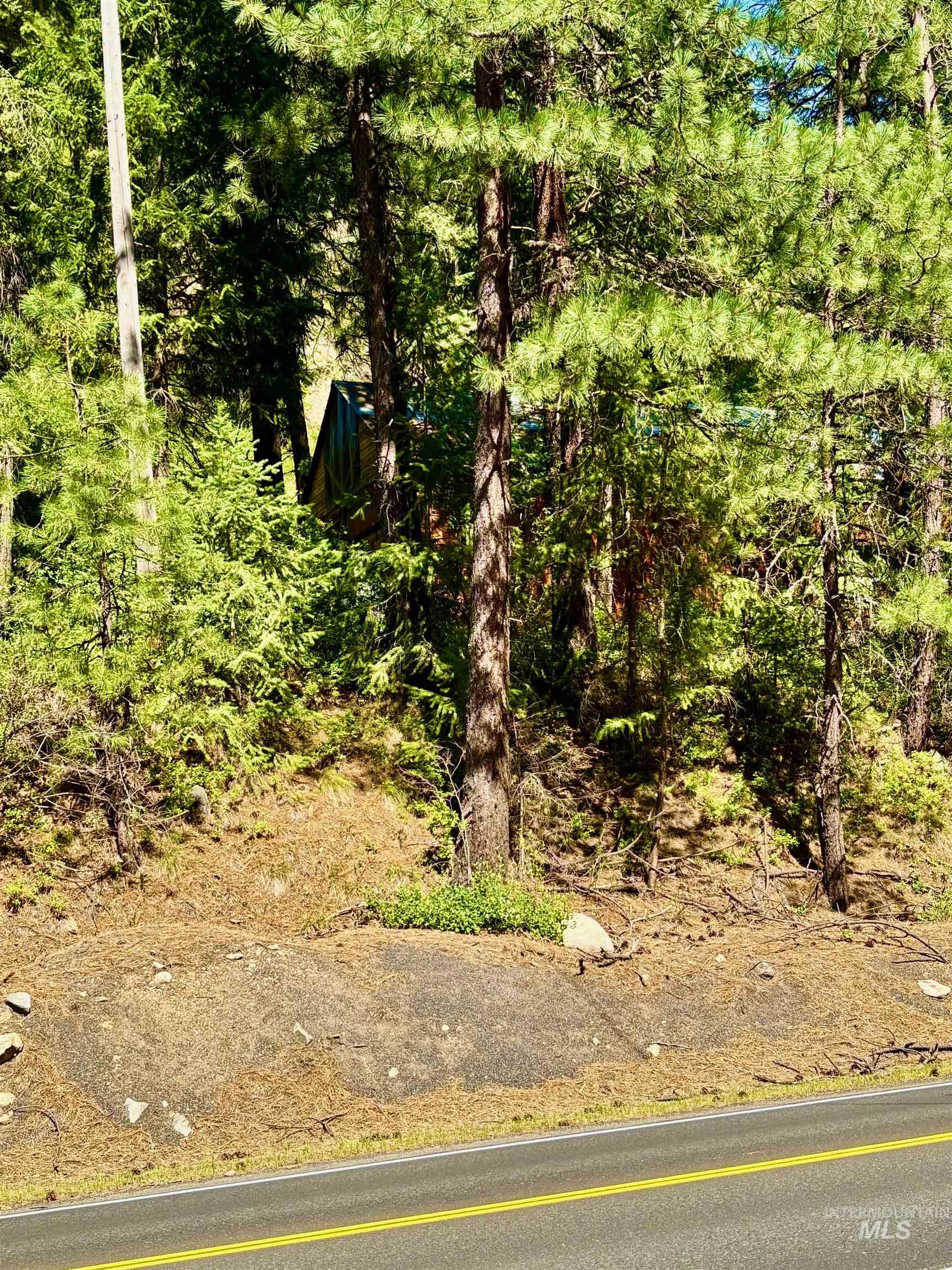 4966 Highway 95, Riggins, Idaho 83654, Land For Sale, Price $250,000, 98955192