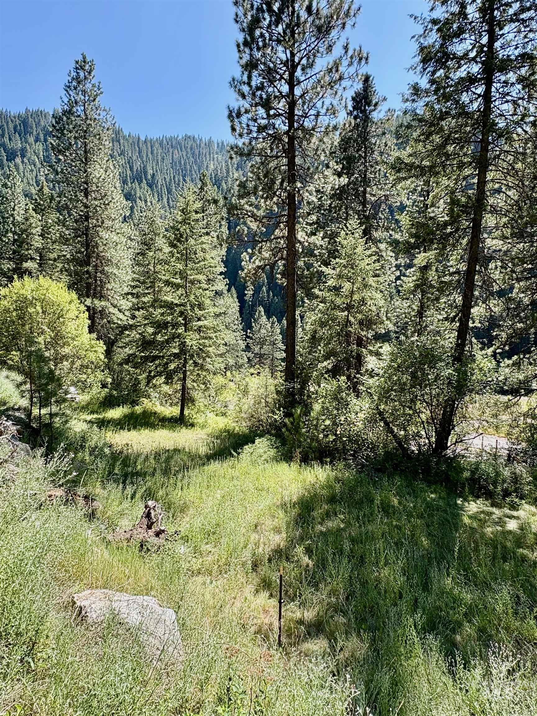 4966 Highway 95, Riggins, Idaho 83654, Land For Sale, Price $250,000, 98955192