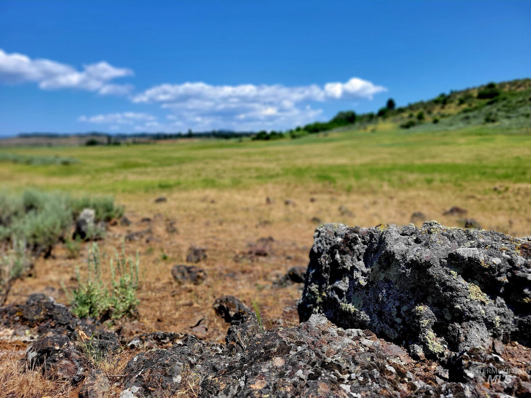 TBD Highway 95, Council, Idaho 83612, Land For Sale, Price $537,000,MLS 98955216