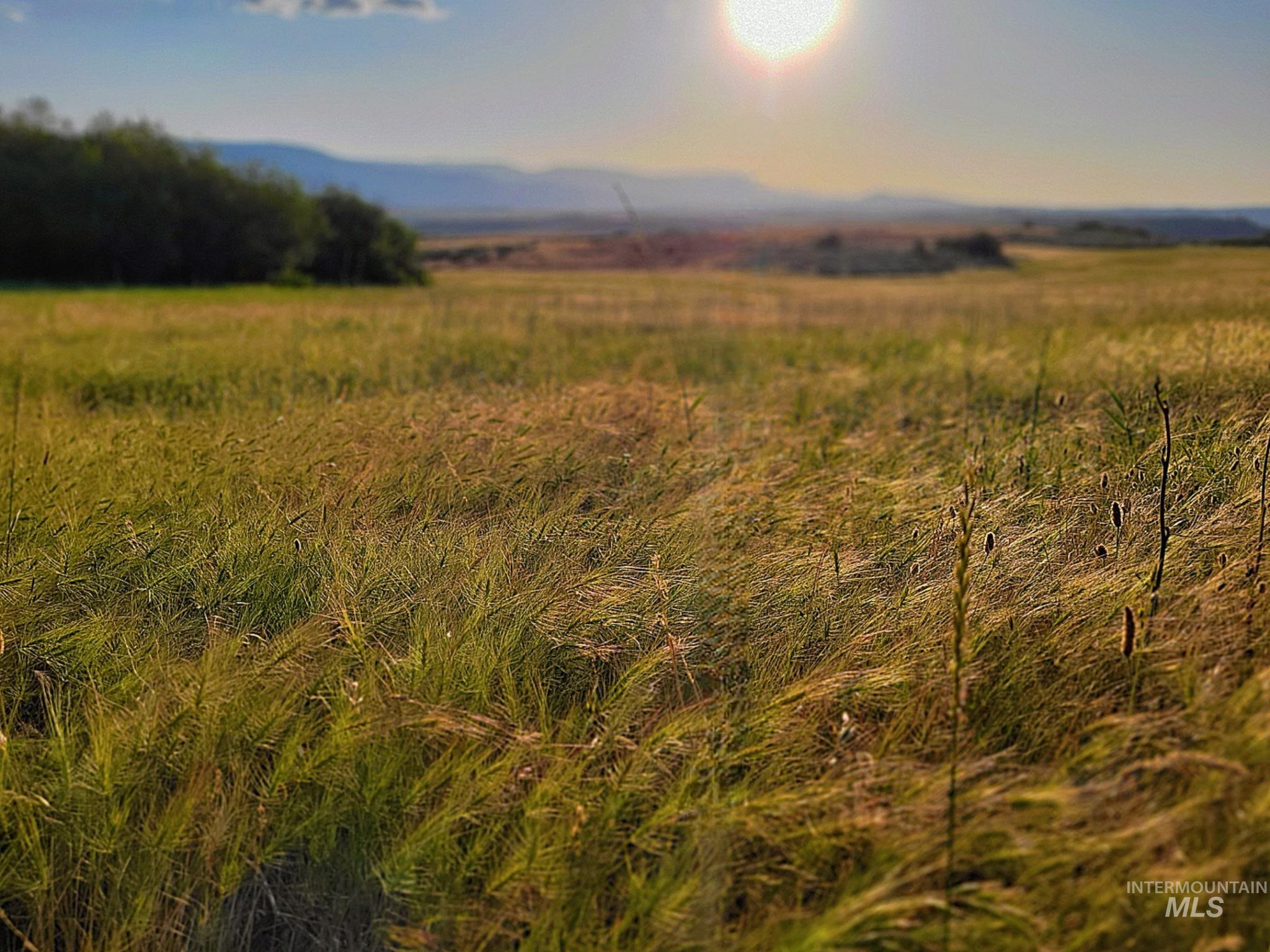 TBD Highway 95, Council, Idaho 83612, Land For Sale, Price $537,000,MLS 98955216