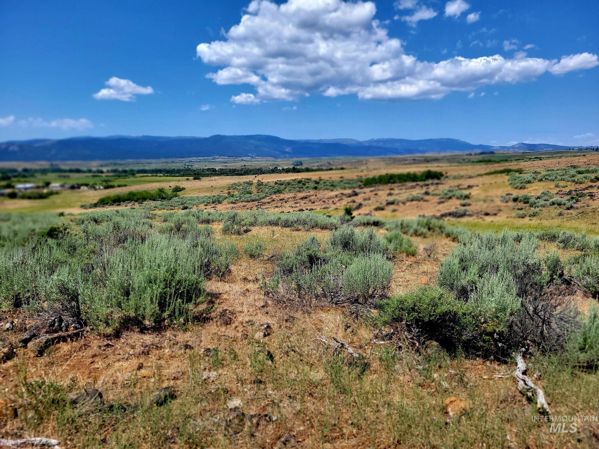 TBD Highway 95, Council, Idaho 83612, Land For Sale, Price $537,000,MLS 98955216