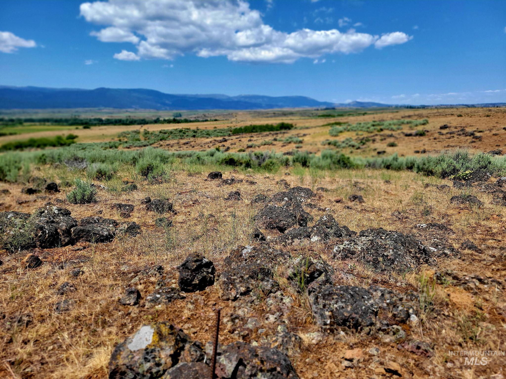 TBD Highway 95, Council, Idaho 83612, Land For Sale, Price $537,000,MLS 98955216