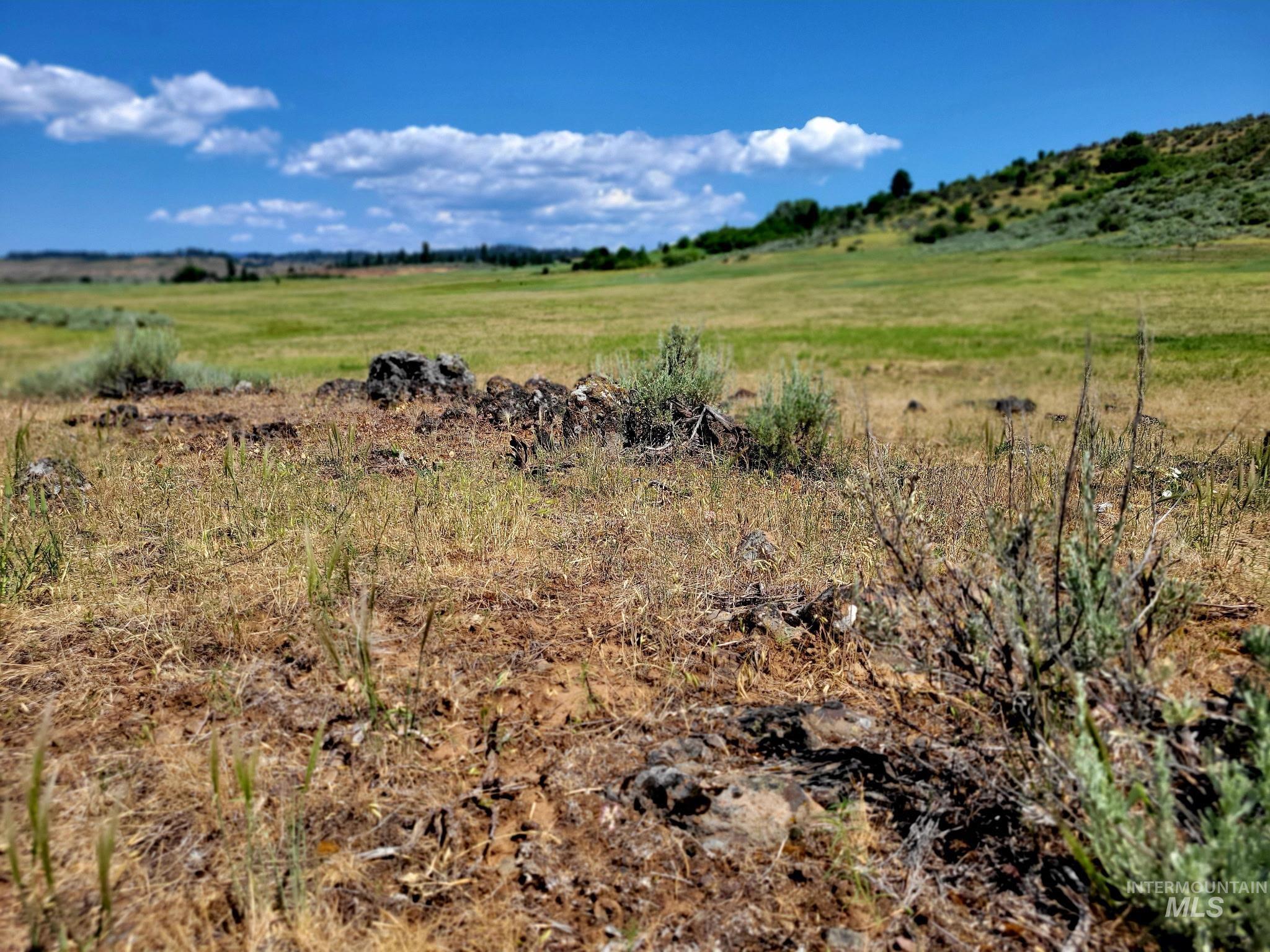 TBD Highway 95, Council, Idaho 83612, Land For Sale, Price $537,000,MLS 98955216