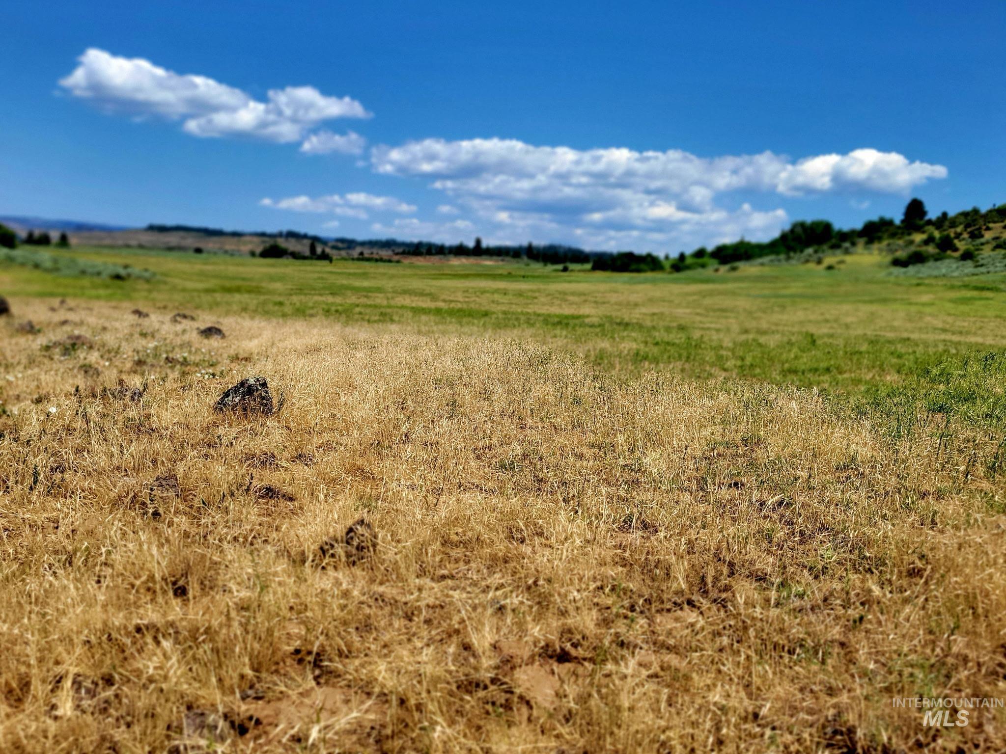 TBD Highway 95, Council, Idaho 83612, Land For Sale, Price $537,000,MLS 98955216