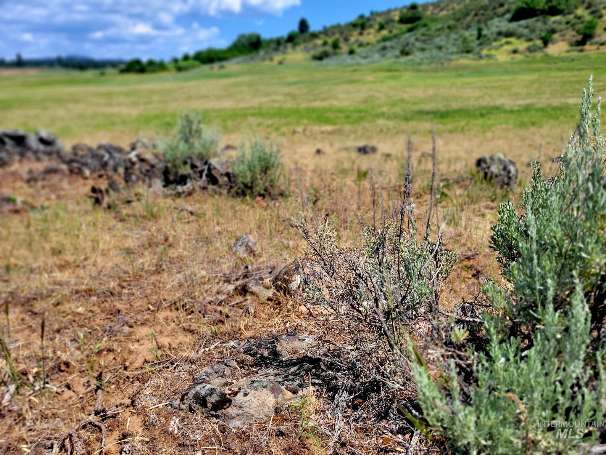 TBD Highway 95, Council, Idaho 83612, Land For Sale, Price $537,000,MLS 98955216