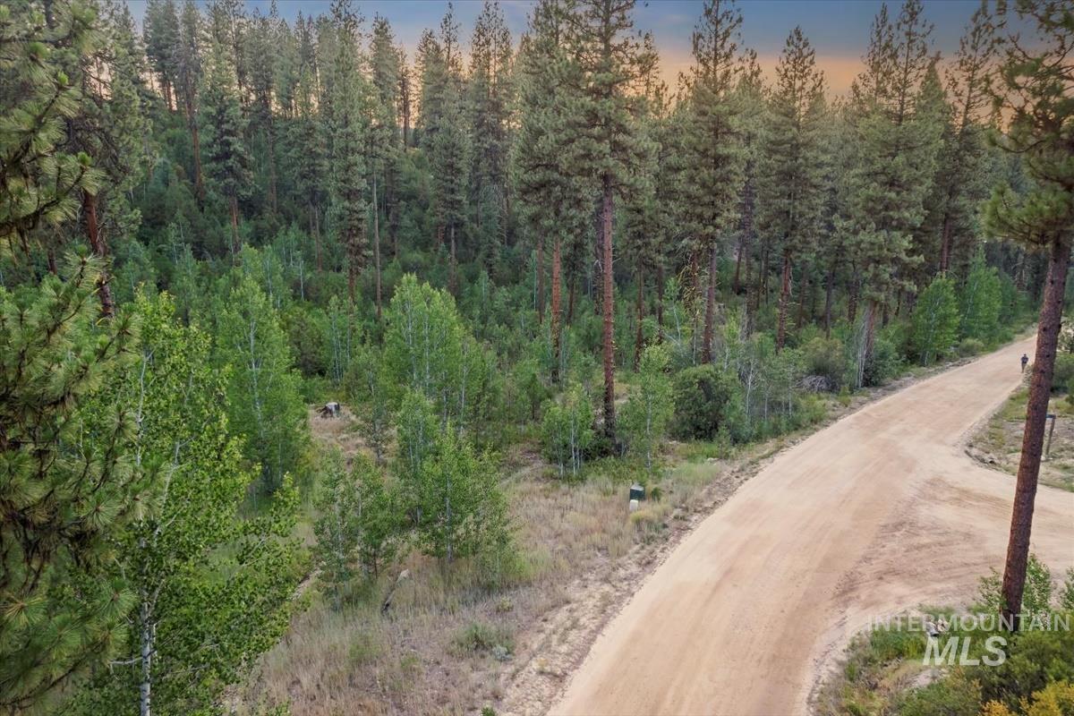 Lot 12 Shaw Gulch Road, Idaho City, Idaho 83631, Land For Sale, Price $174,900,MLS 98955569