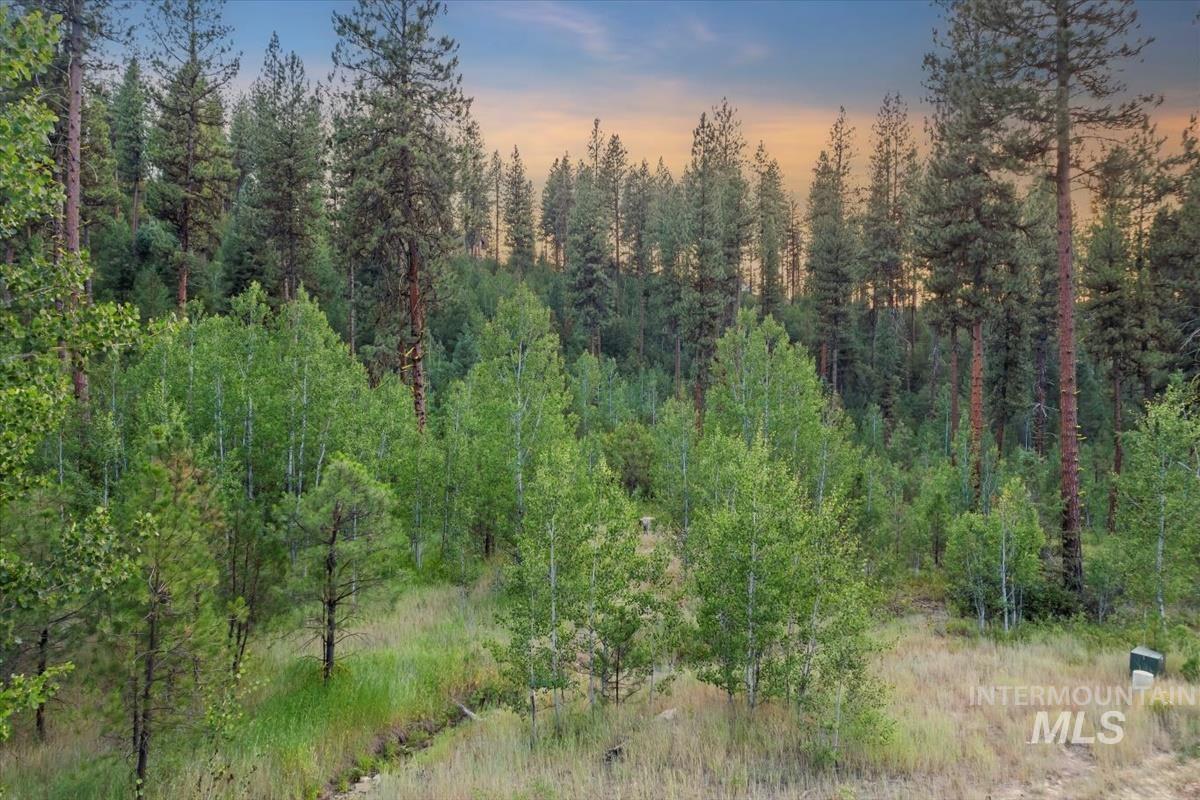Lot 12 Shaw Gulch Road, Idaho City, Idaho 83631, Land For Sale, Price $174,900,MLS 98955569