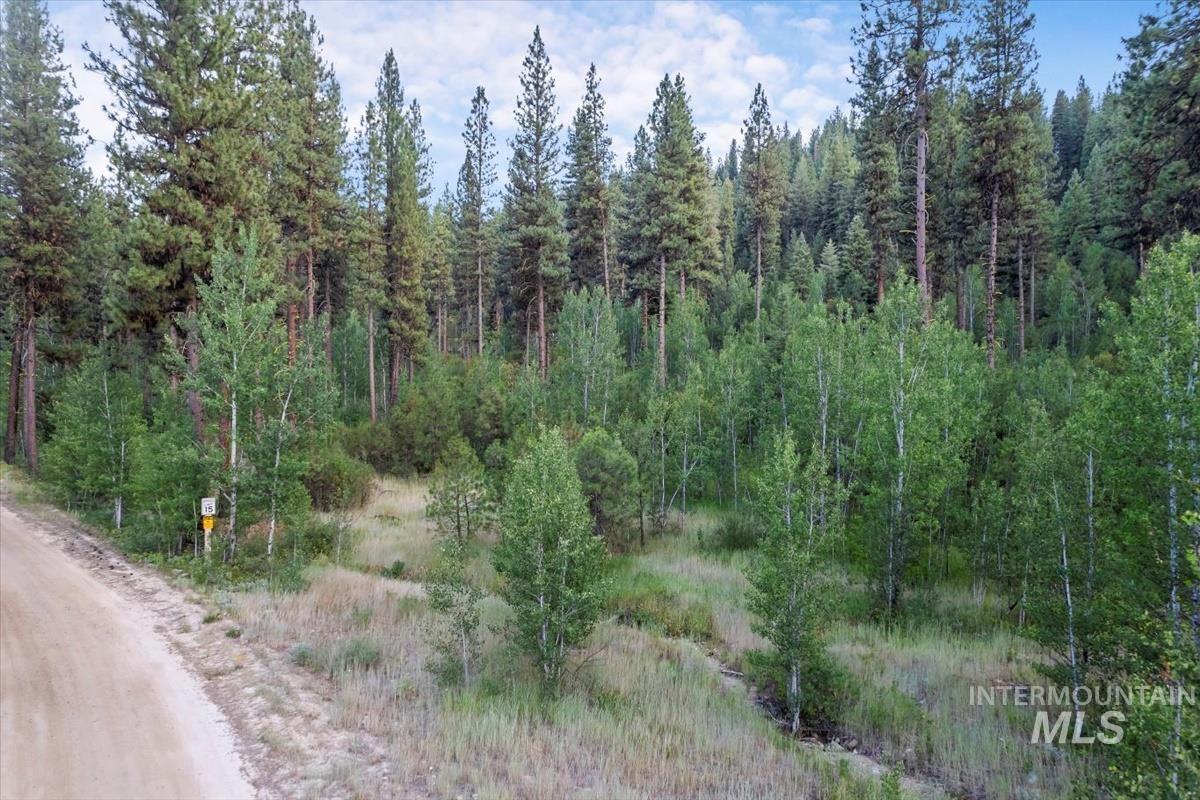 Lot 12 Shaw Gulch Road, Idaho City, Idaho 83631, Land For Sale, Price $174,900,MLS 98955569