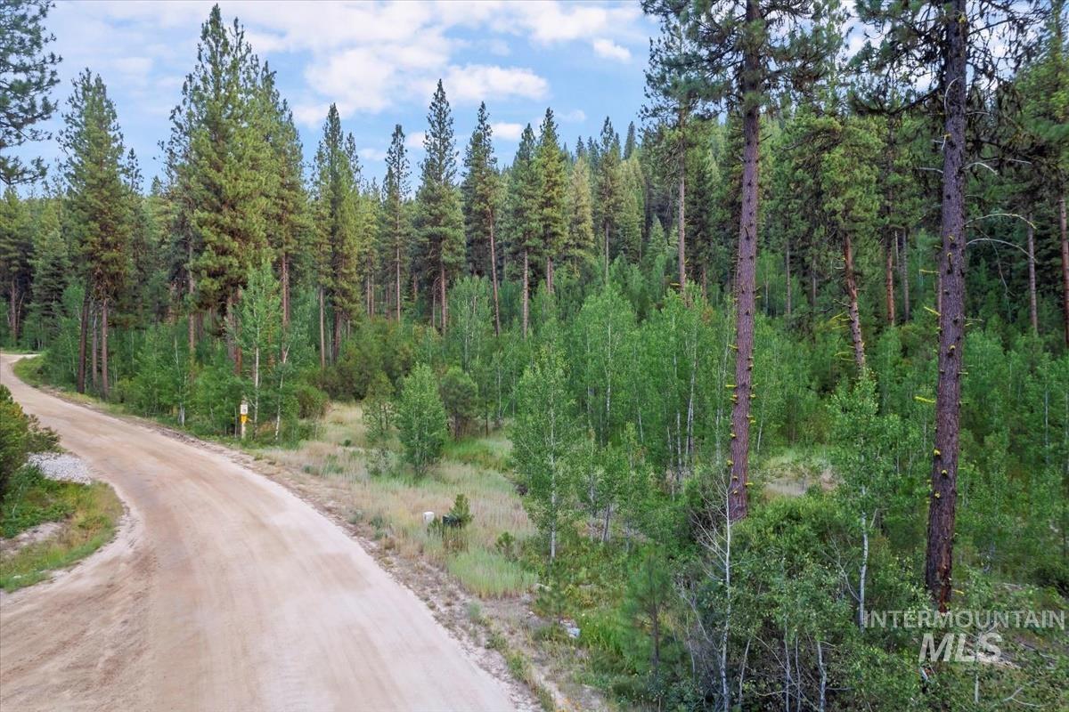 Lot 12 Shaw Gulch Road, Idaho City, Idaho 83631, Land For Sale, Price $174,900,MLS 98955569