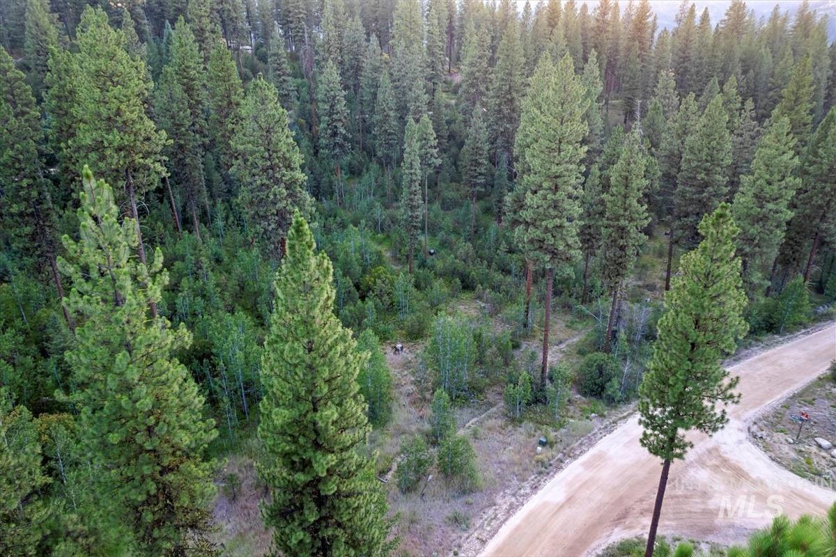 Lot 12 Shaw Gulch Road, Idaho City, Idaho 83631, Land For Sale, Price $174,900,MLS 98955569