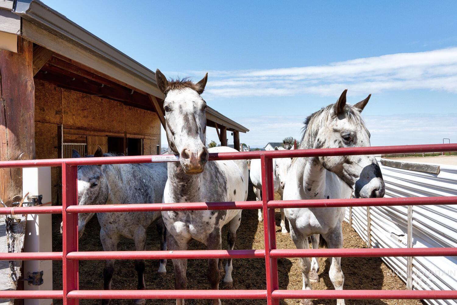 5377 S Ten Mile, Meridian, Idaho 83642, 4 Bedrooms, 3 Bathrooms, Residential For Sale, Price $2,699,999,MLS 98955572