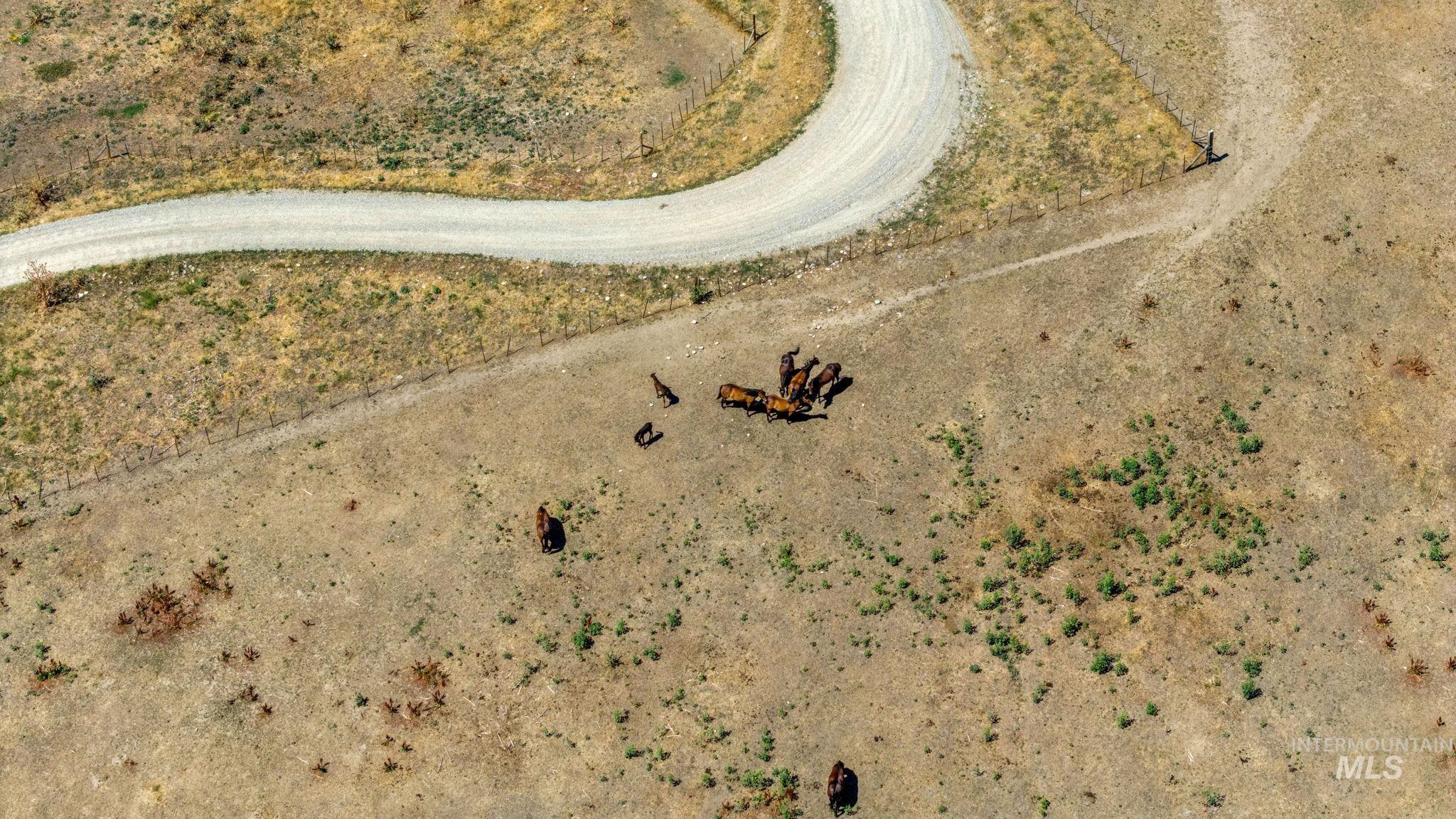 Parcel 2 Deidre Ln, Horseshoe Bend, Idaho 83629, Land For Sale, Price $165,000,MLS 98955733