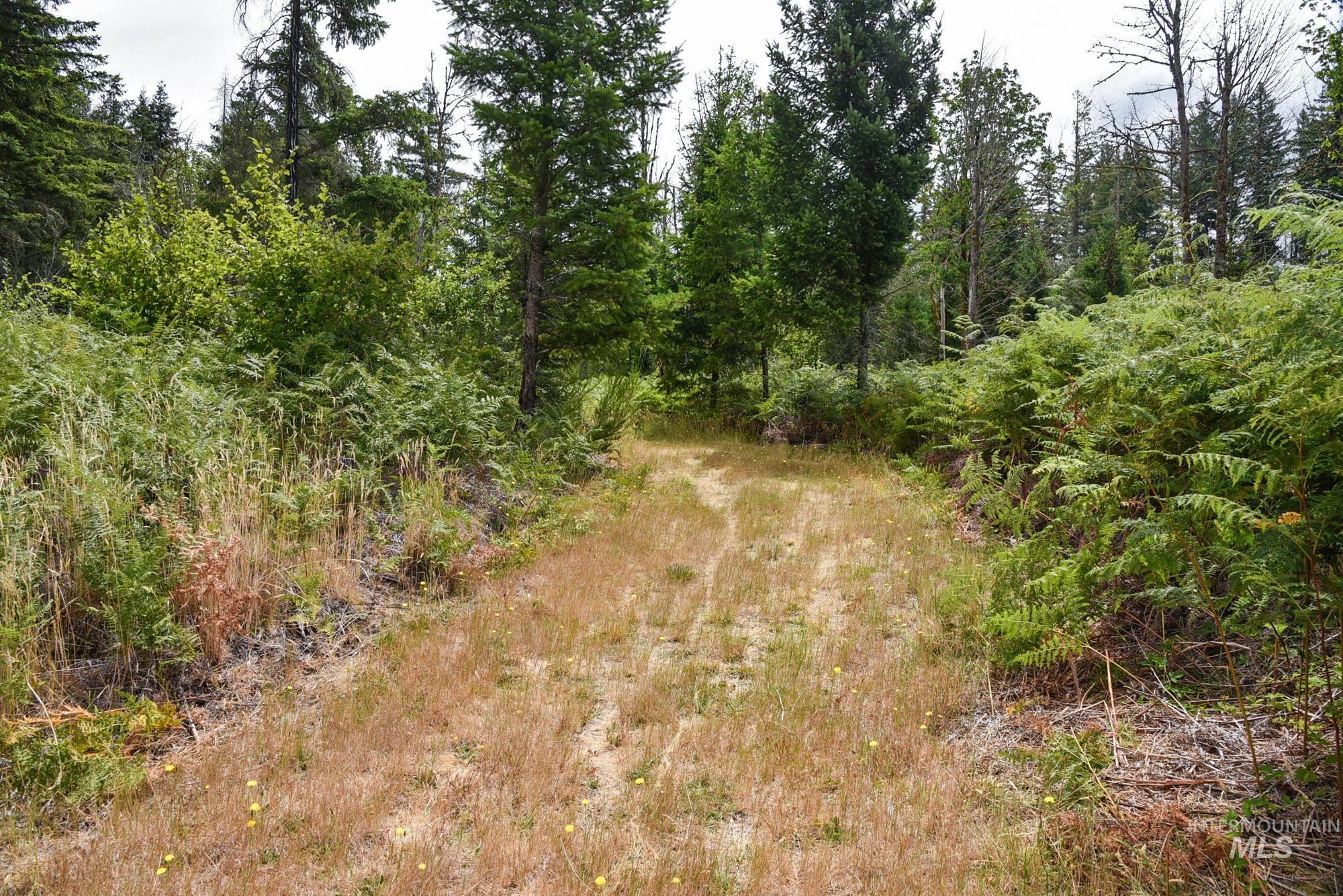 40111 SE Fairview St, Outside City Limits, Oregon 97360, Land For Sale, Price $985,000, 98955758