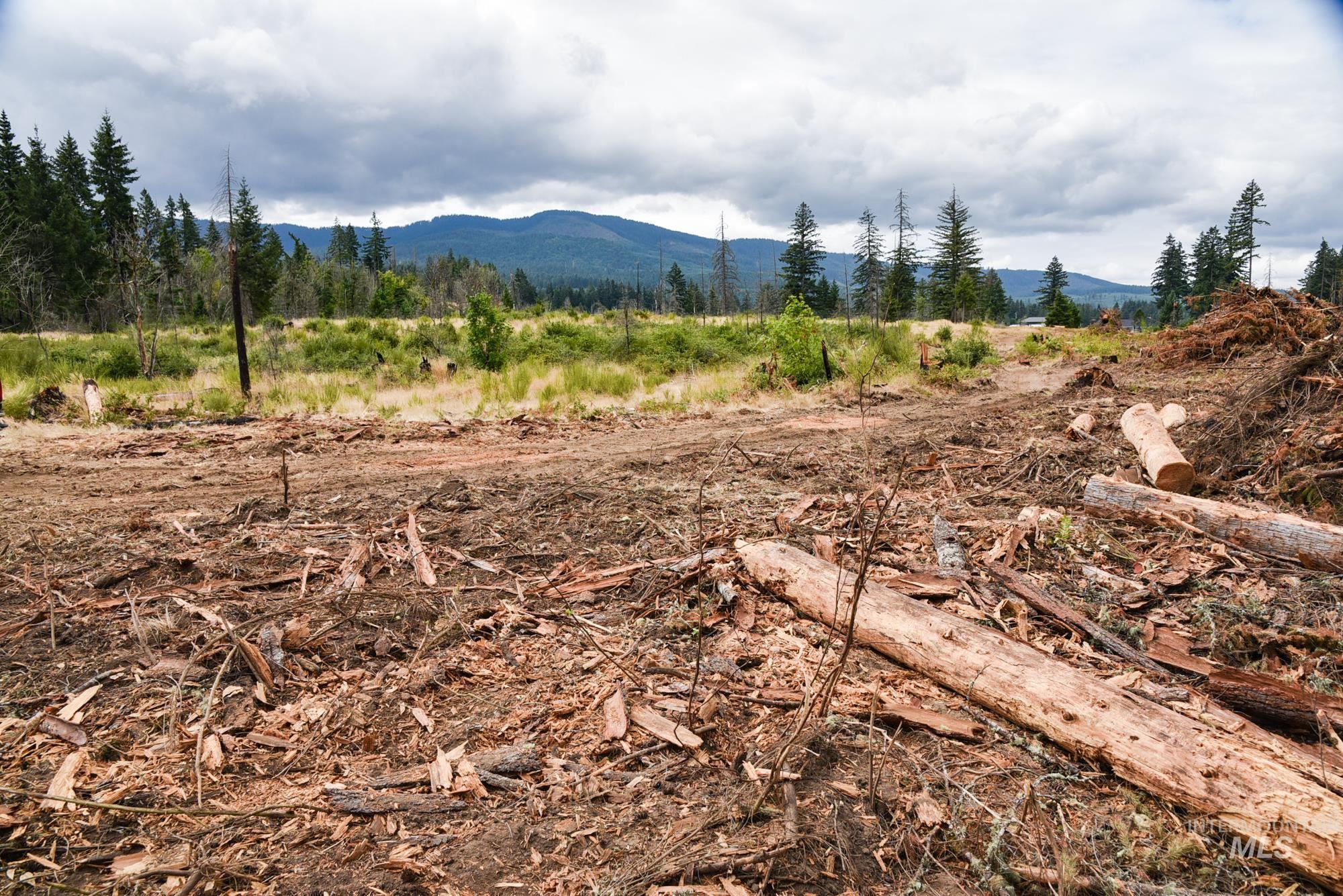 40111 SE Fairview St, Outside City Limits, Oregon 97360, Land For Sale, Price $985,000, 98955758