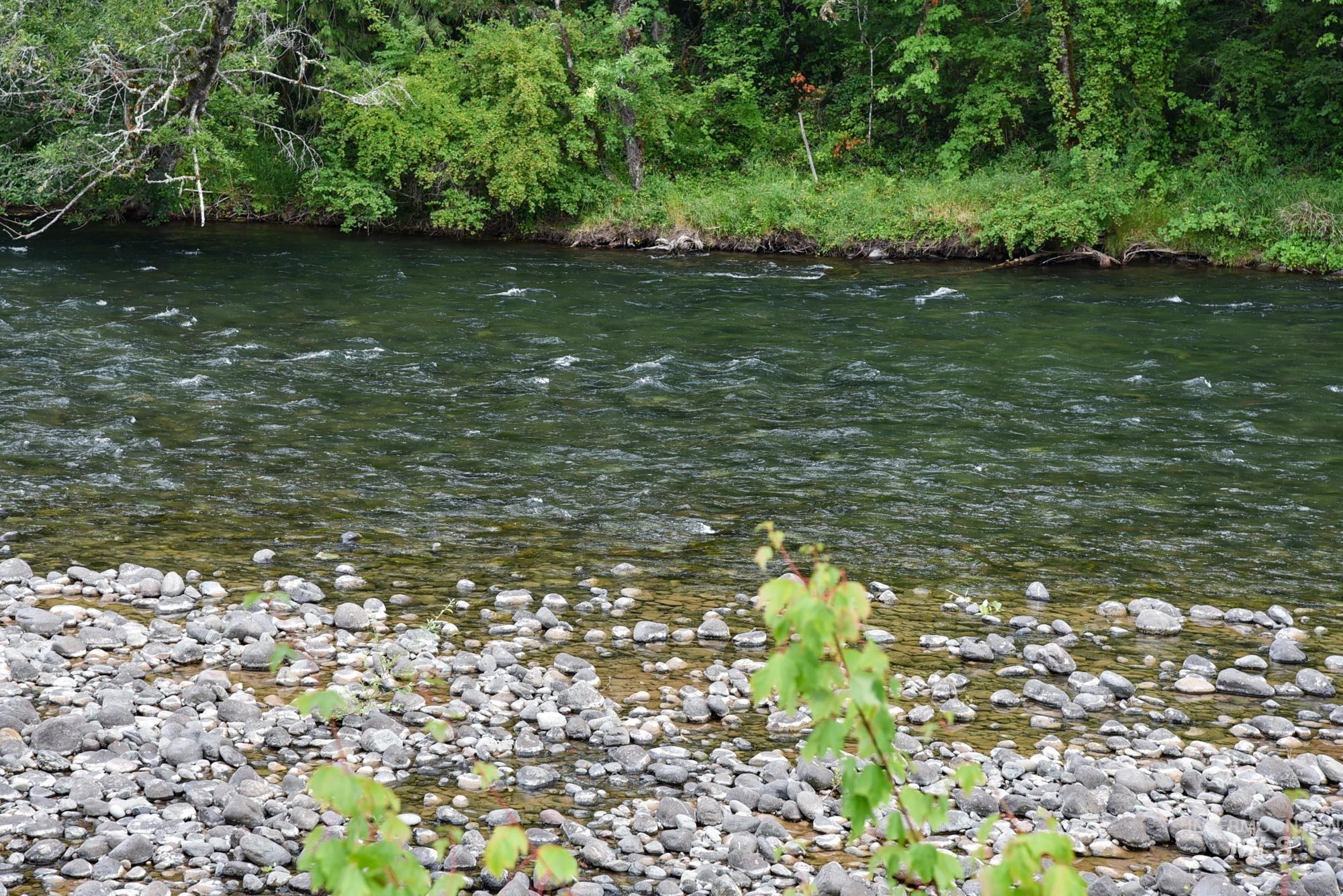 40111 SE Fairview St, Outside City Limits, Oregon 97360, Land For Sale, Price $985,000, 98955758