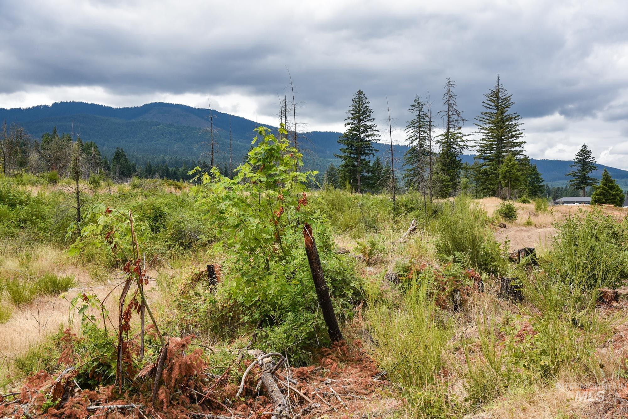 40111 SE Fairview St, Outside City Limits, Oregon 97360, Land For Sale, Price $985,000, 98955758