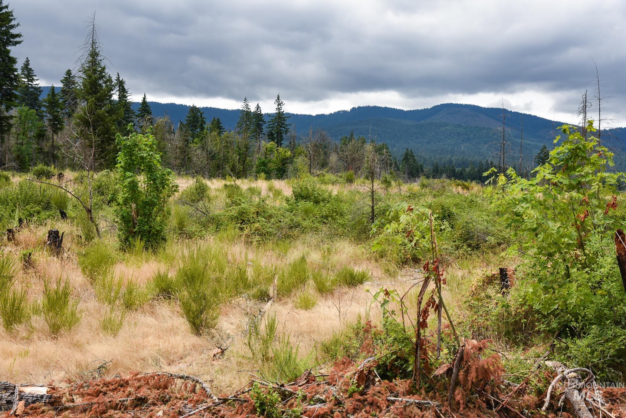 40111 SE Fairview St, Outside City Limits, Oregon 97360, Land For Sale, Price $985,000, 98955758