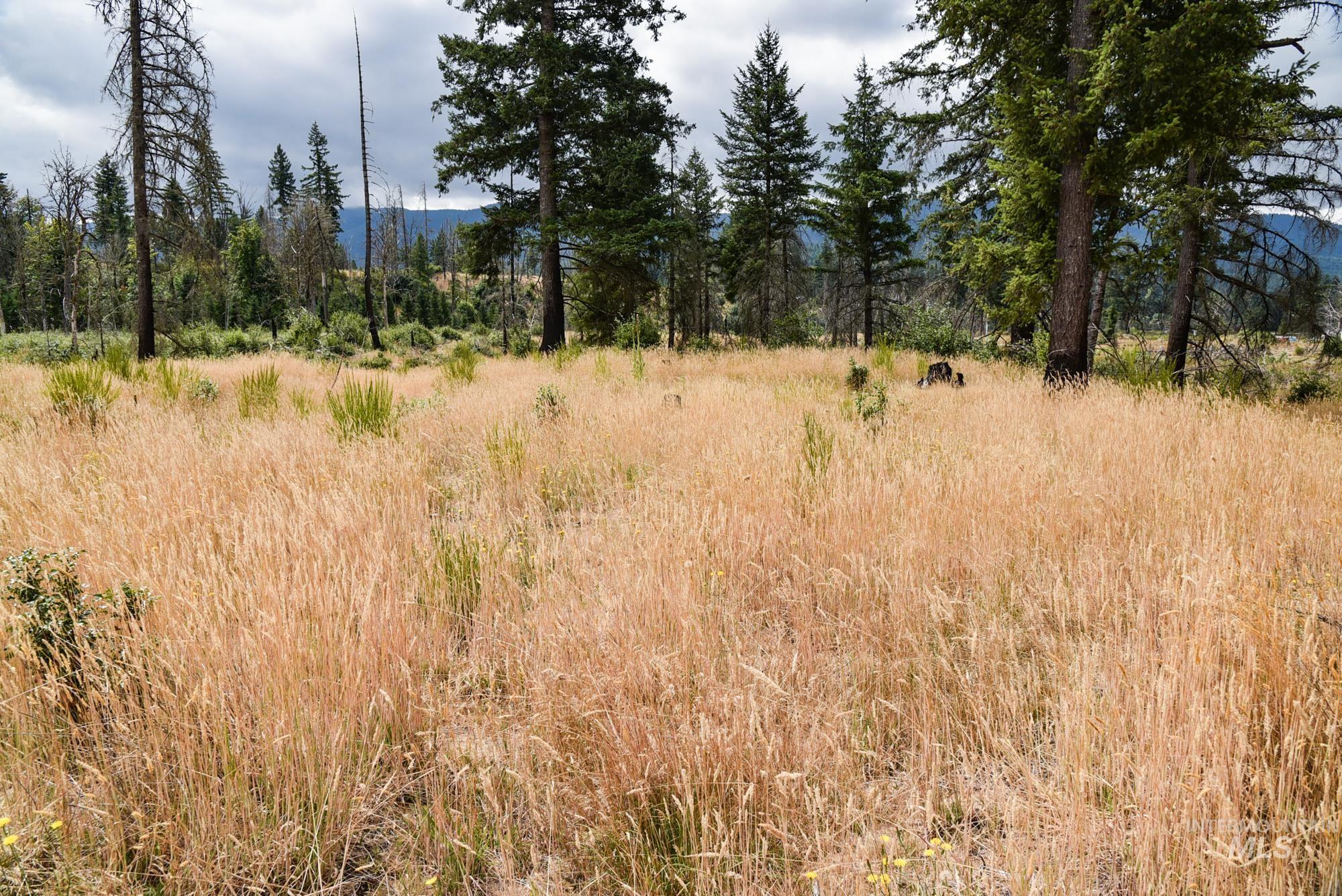 40111 SE Fairview St, Outside City Limits, Oregon 97360, Land For Sale, Price $985,000, 98955758