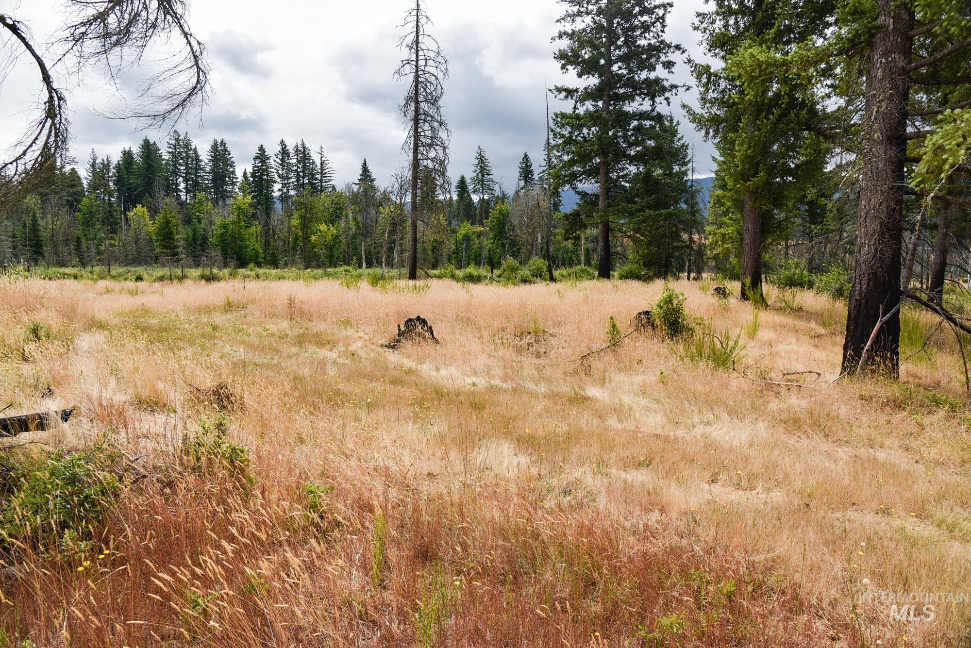 40111 SE Fairview St, Outside City Limits, Oregon 97360, Land For Sale, Price $985,000, 98955758