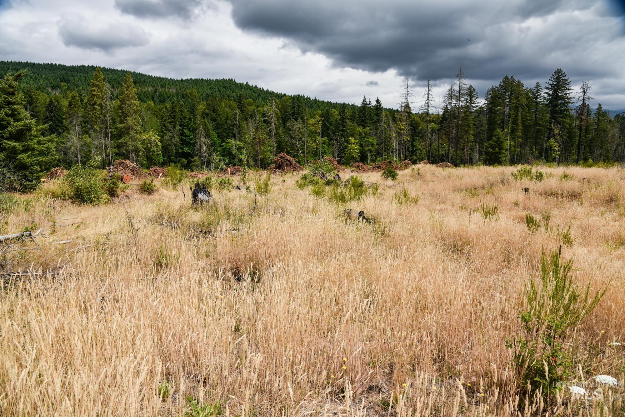 40111 SE Fairview St, Outside City Limits, Oregon 97360, Land For Sale, Price $985,000, 98955758