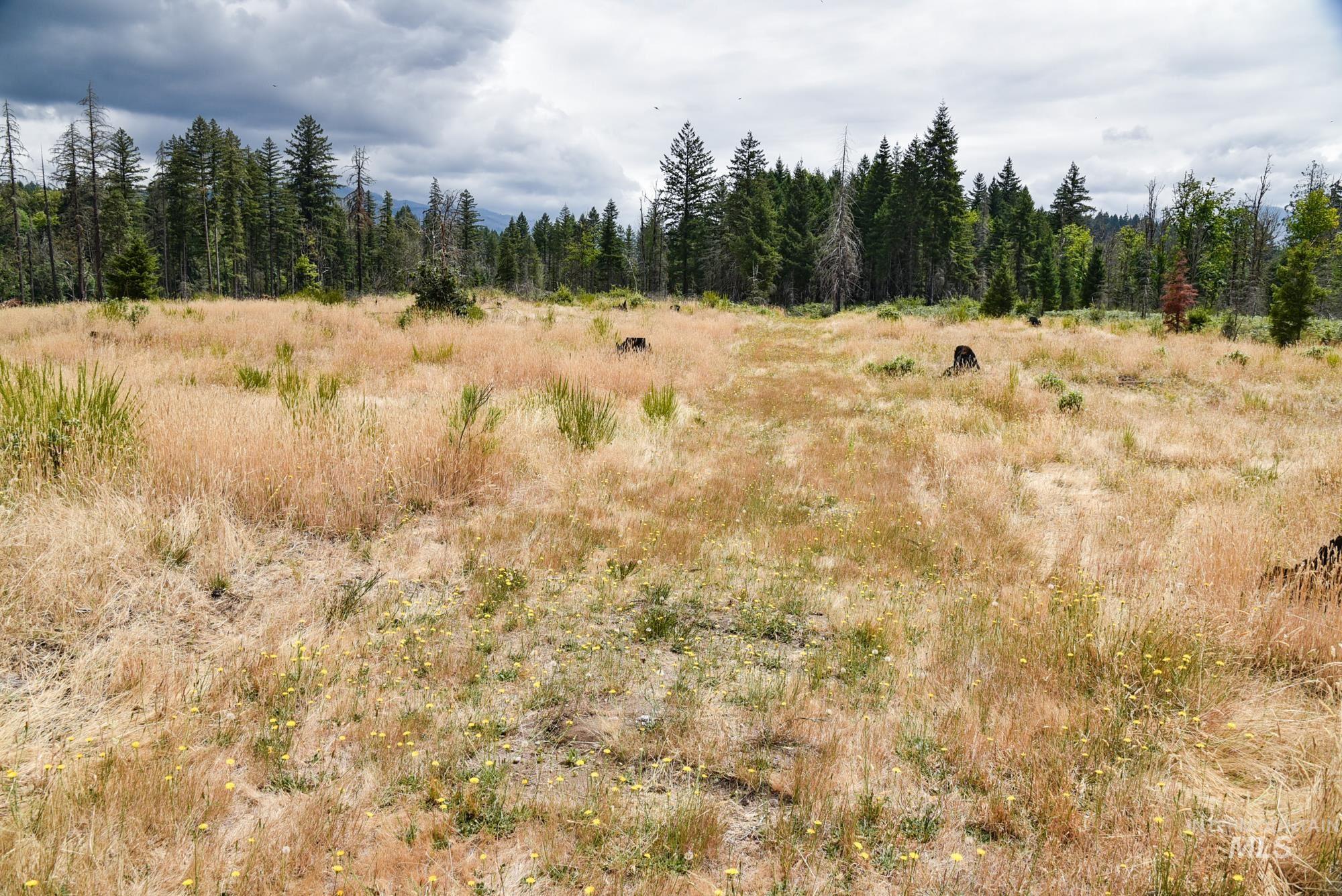 40111 SE Fairview St, Outside City Limits, Oregon 97360, Land For Sale, Price $985,000, 98955758