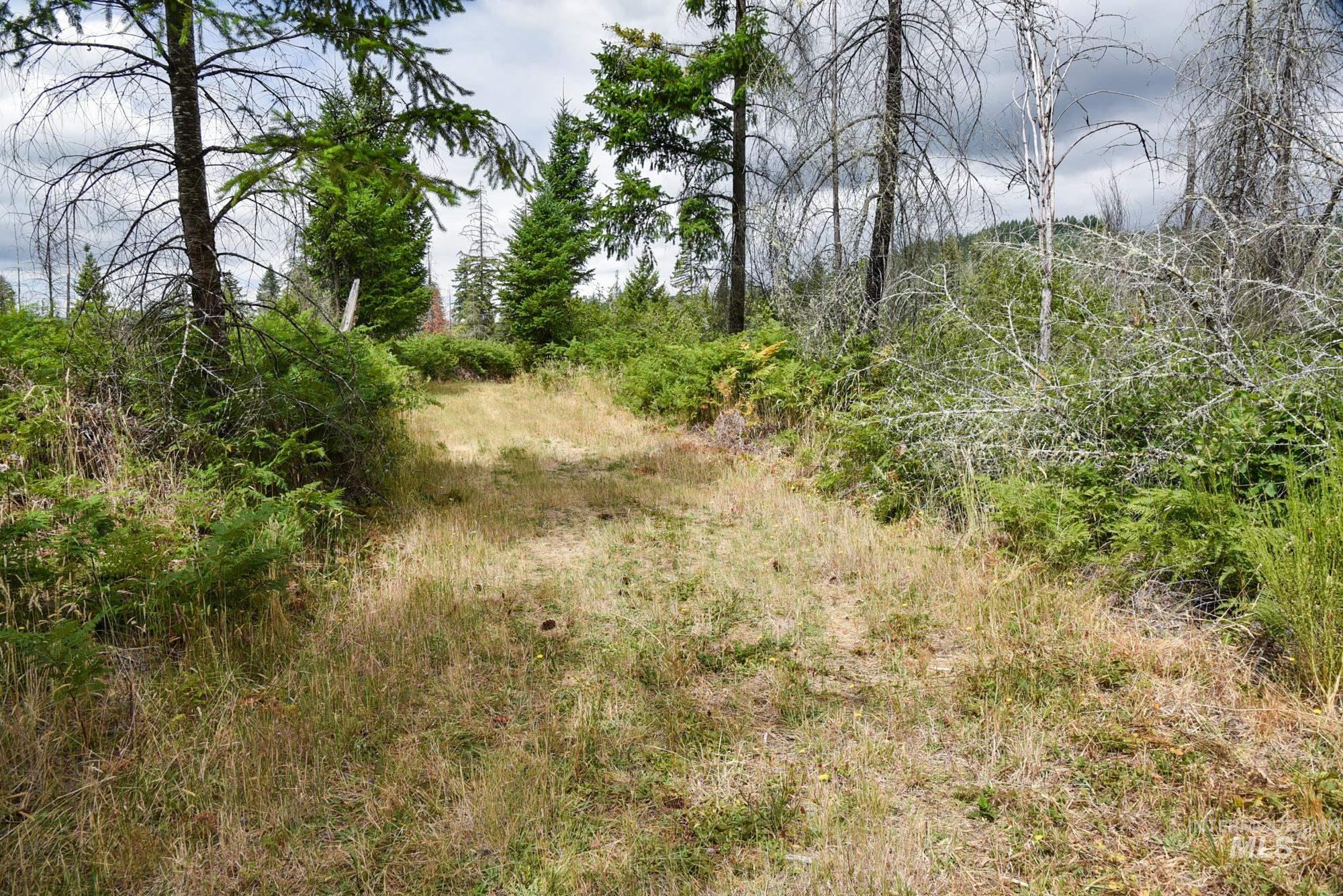 40111 SE Fairview St, Outside City Limits, Oregon 97360, Land For Sale, Price $985,000, 98955758