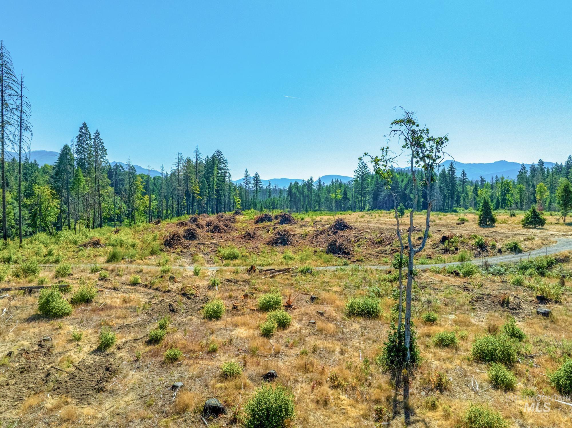 40111 SE Fairview St, Outside City Limits, Oregon 97360, Land For Sale, Price $985,000, 98955758