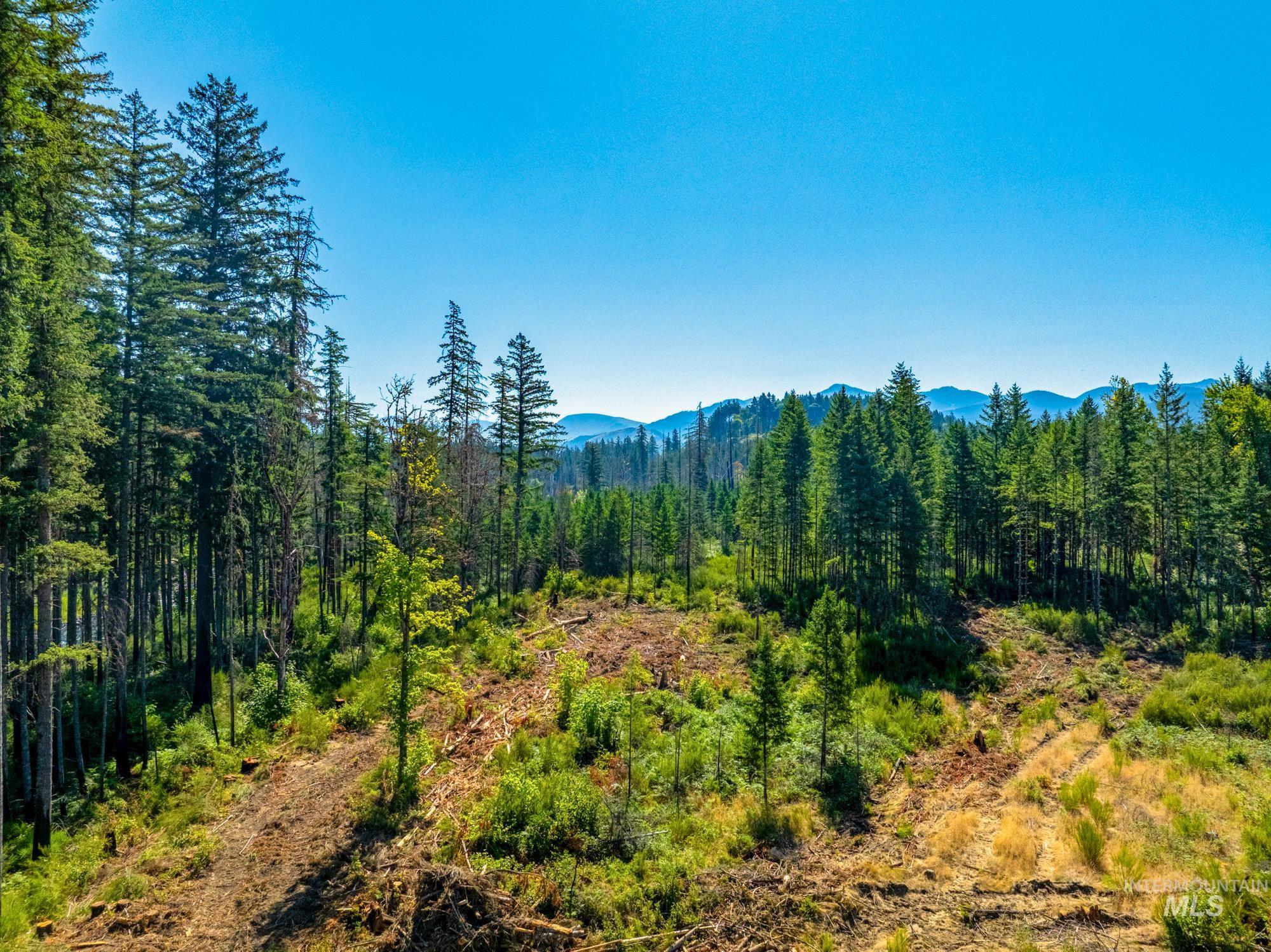 40111 SE Fairview St, Outside City Limits, Oregon 97360, Land For Sale, Price $985,000, 98955758