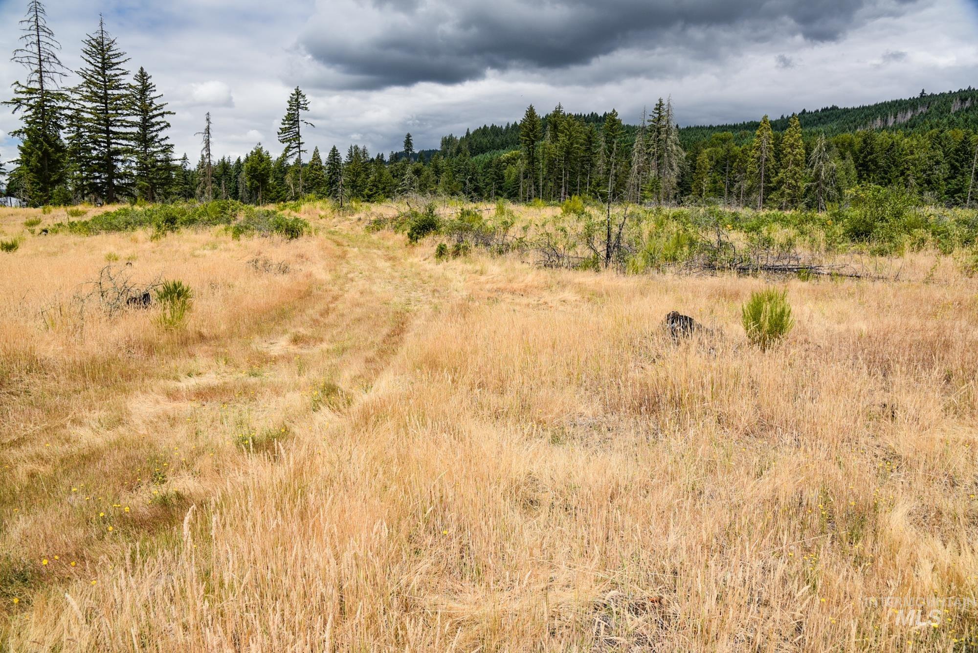 40111 SE Fairview St, Outside City Limits, Oregon 97360, Farm & Ranch For Sale, Price $985,000,MLS 98955768