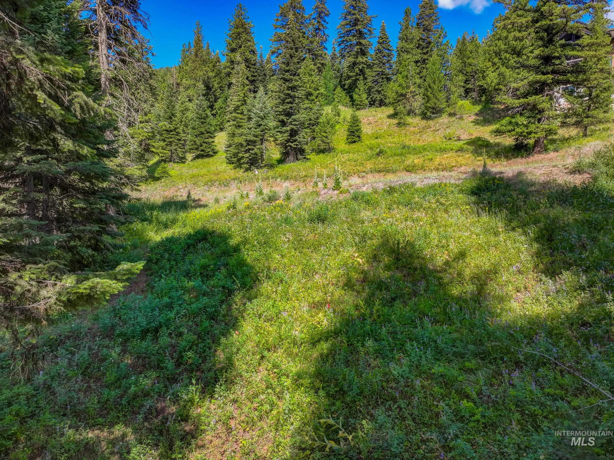 190 Pinnacle Place, Donnelly, Idaho 83615, Land For Sale, Price $499,000, 98955931